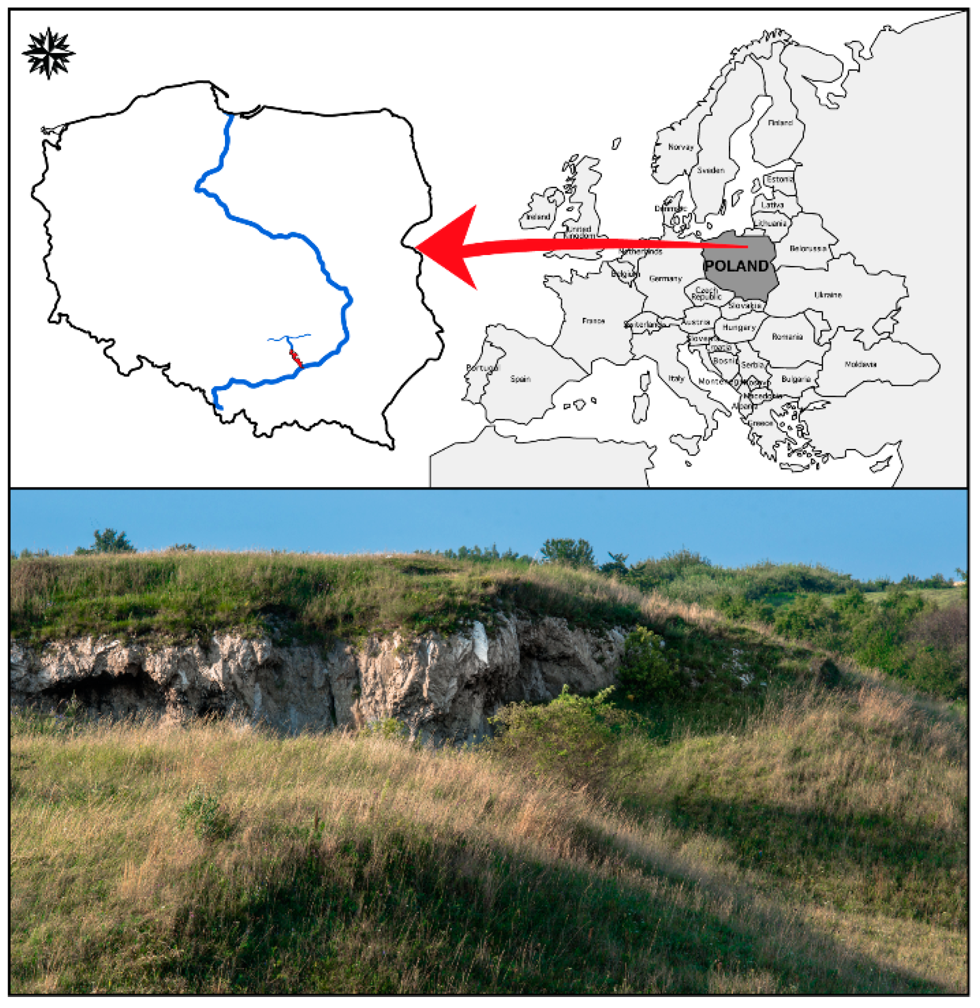 Biology 11 00531 g001 Biology 11 00531 g001