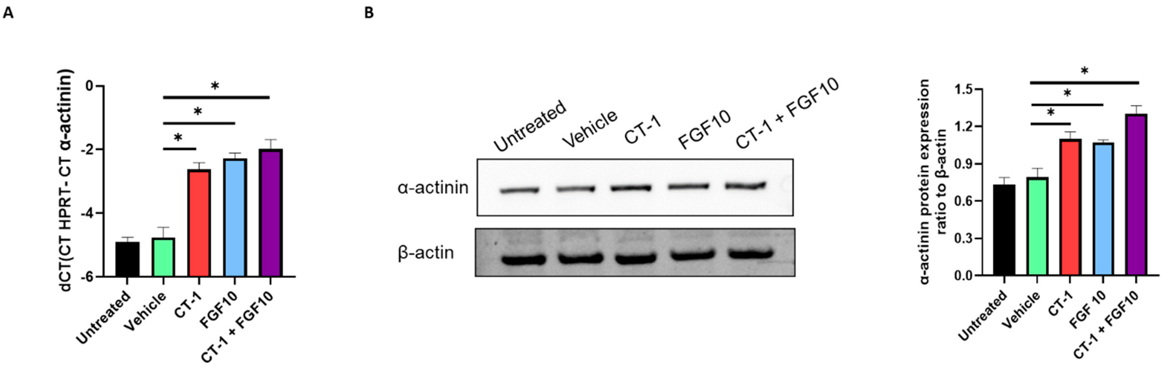 Biology 11 00534 g003