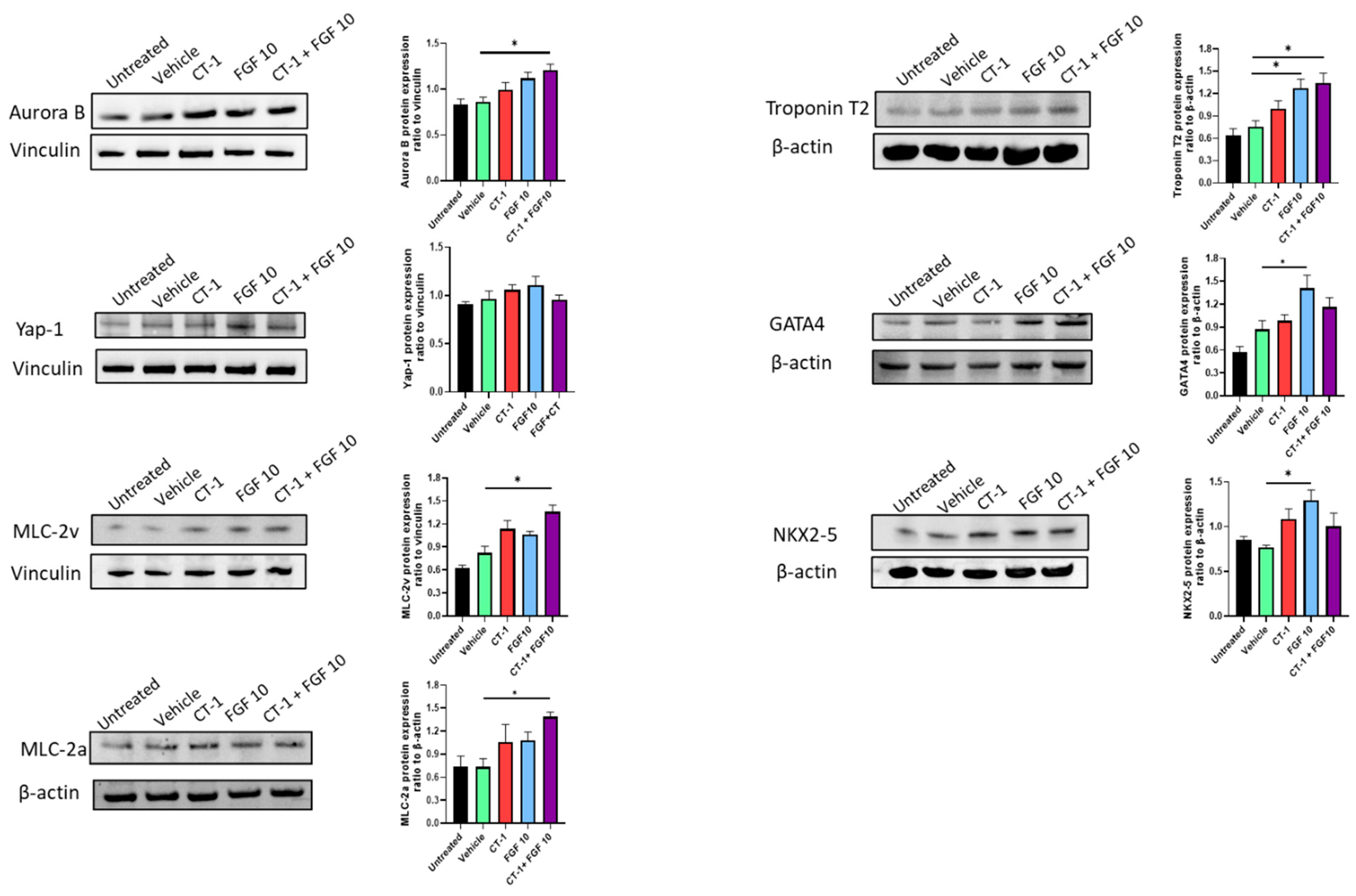 Biology 11 00534 g005