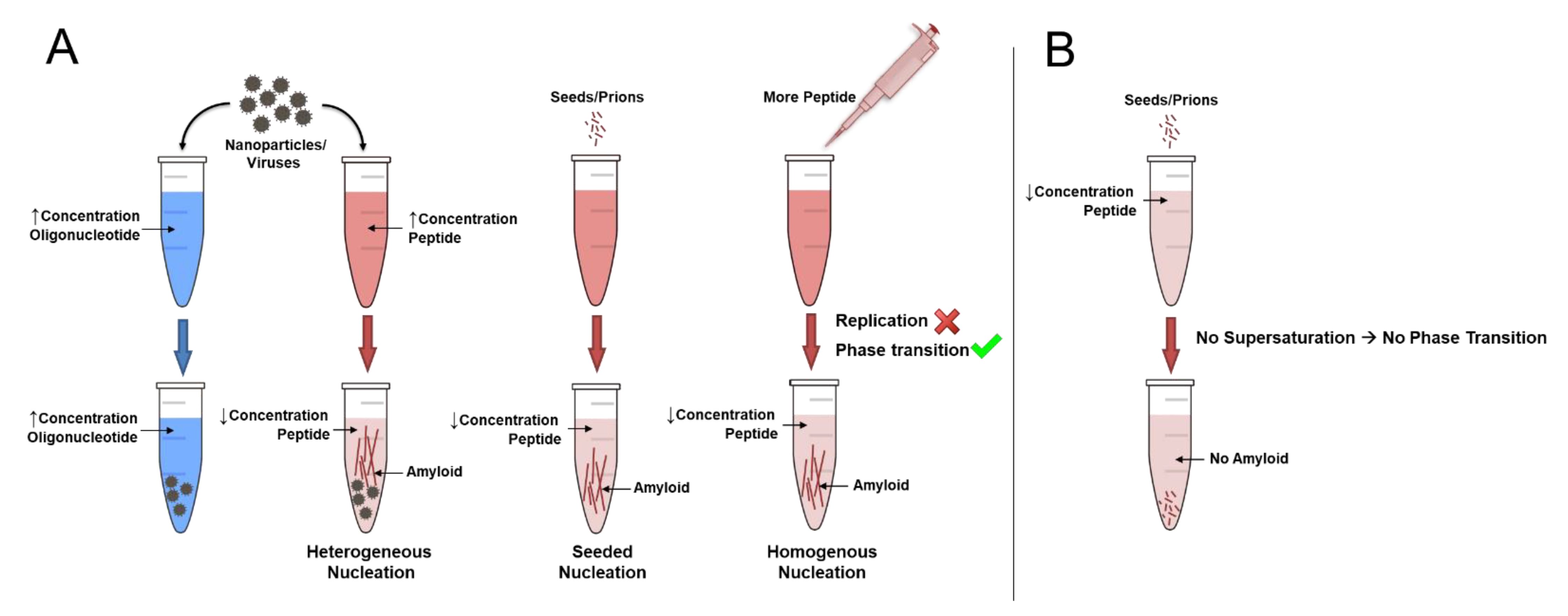 Biology 11 00535 g003