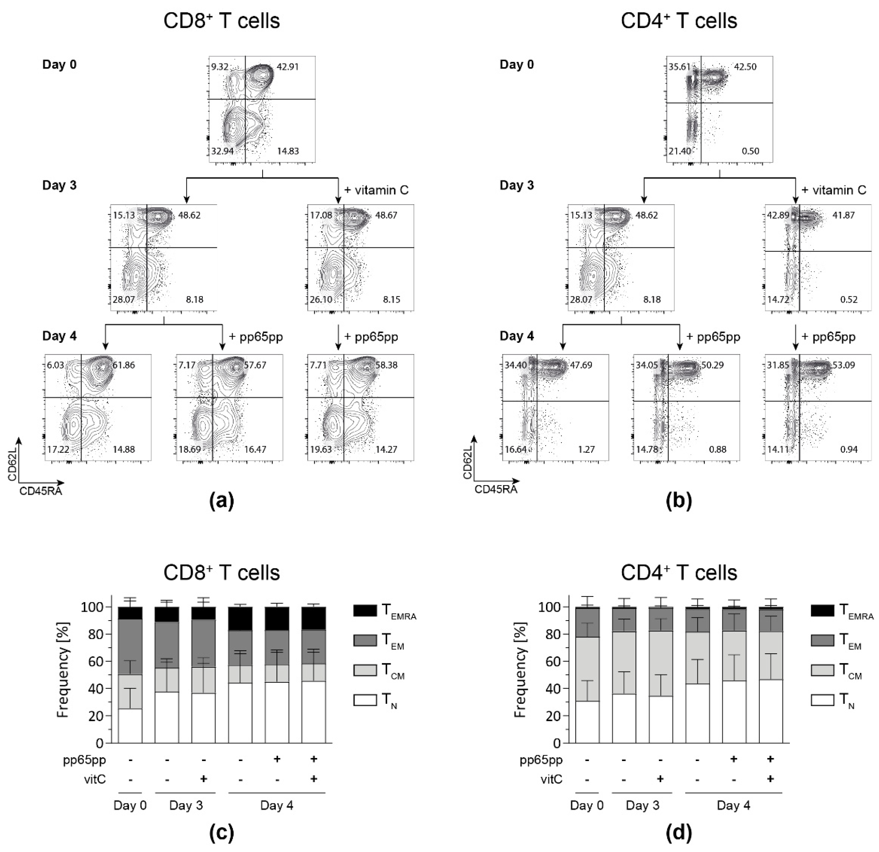 Biology 11 00536 g005