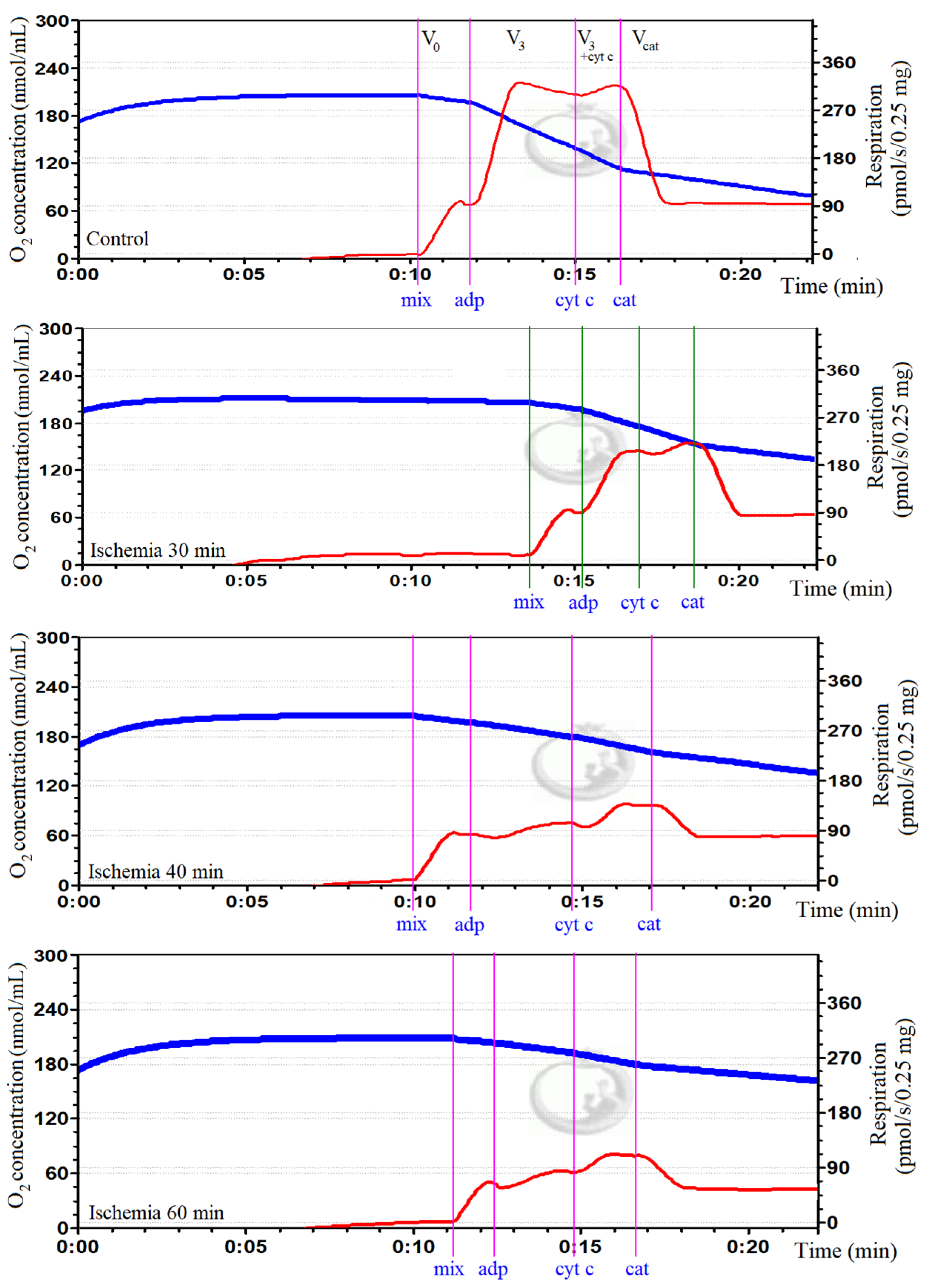 Biology 11 00541 g001 Biology 11 00541 g001