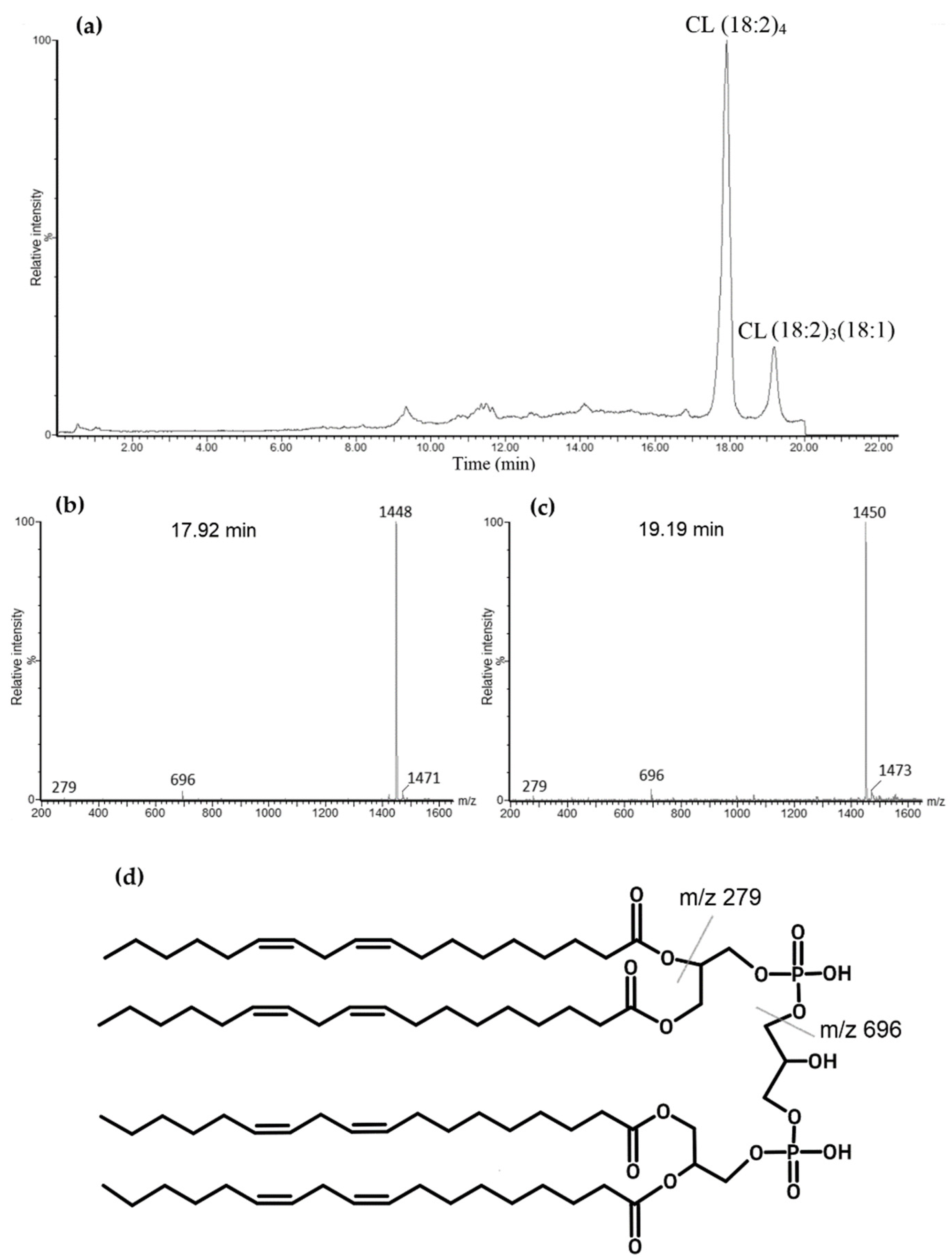 Biology 11 00541 g002 Biology 11 00541 g002