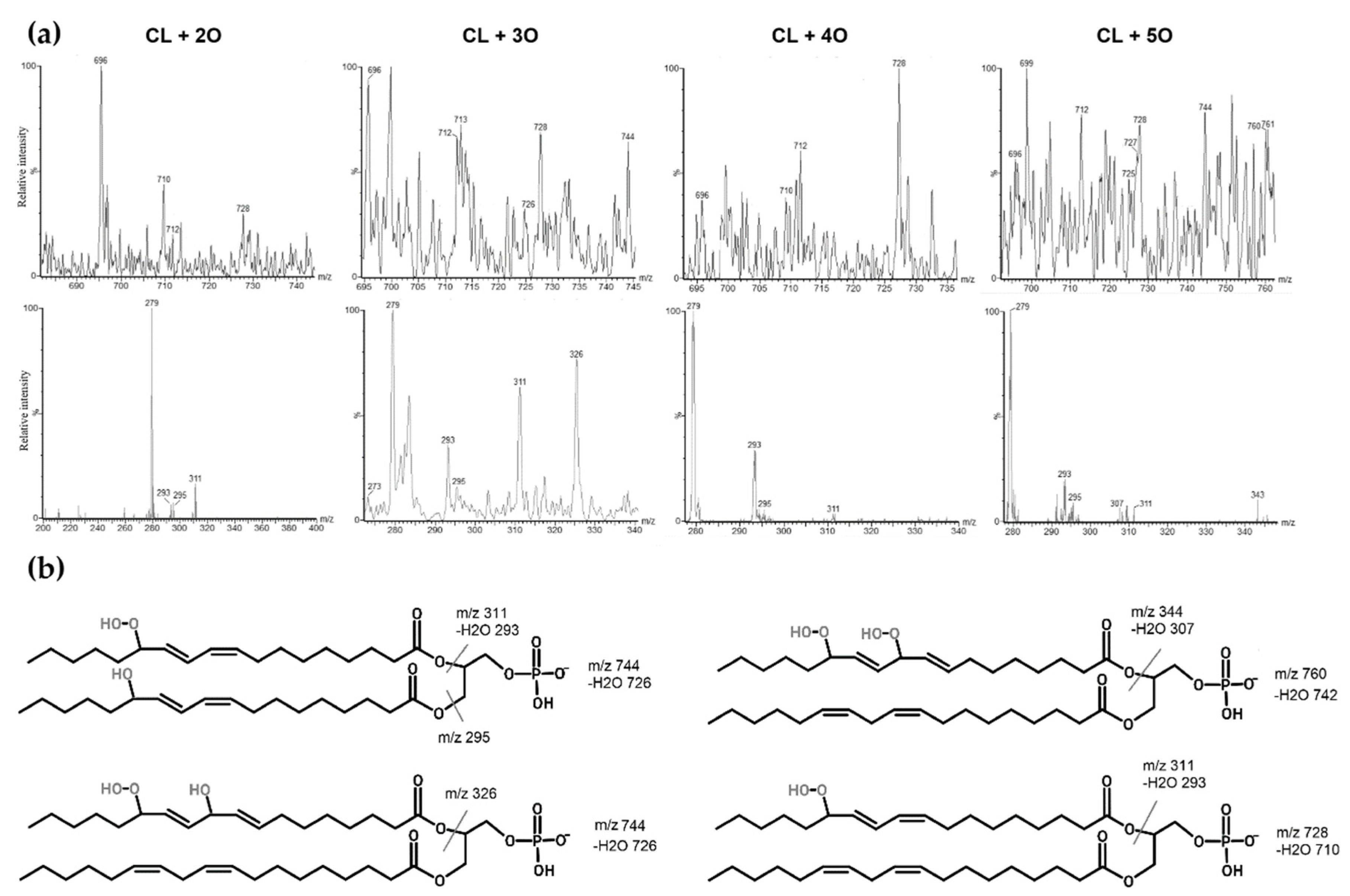 Biology 11 00541 g004 Biology 11 00541 g004