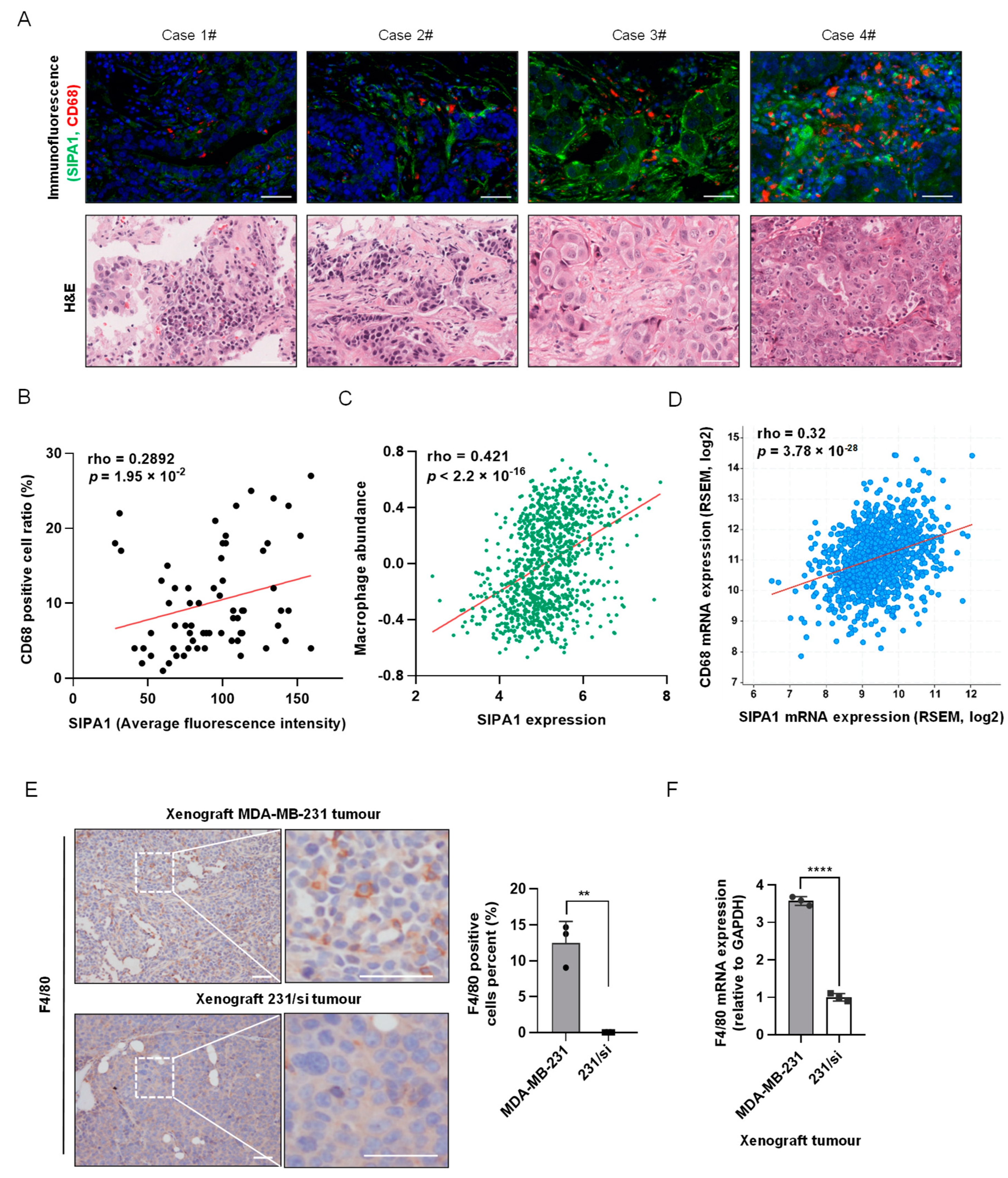 Biology 11 00543 g001