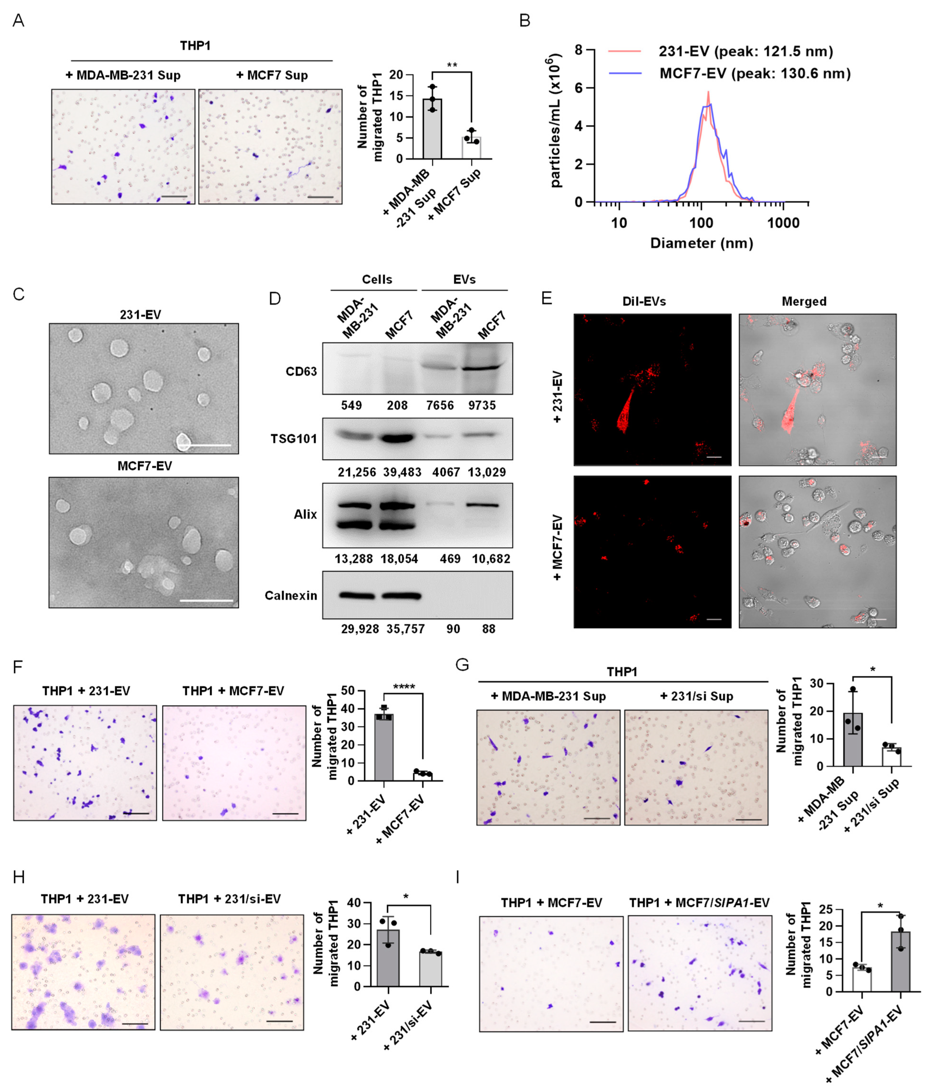 Biology 11 00543 g002
