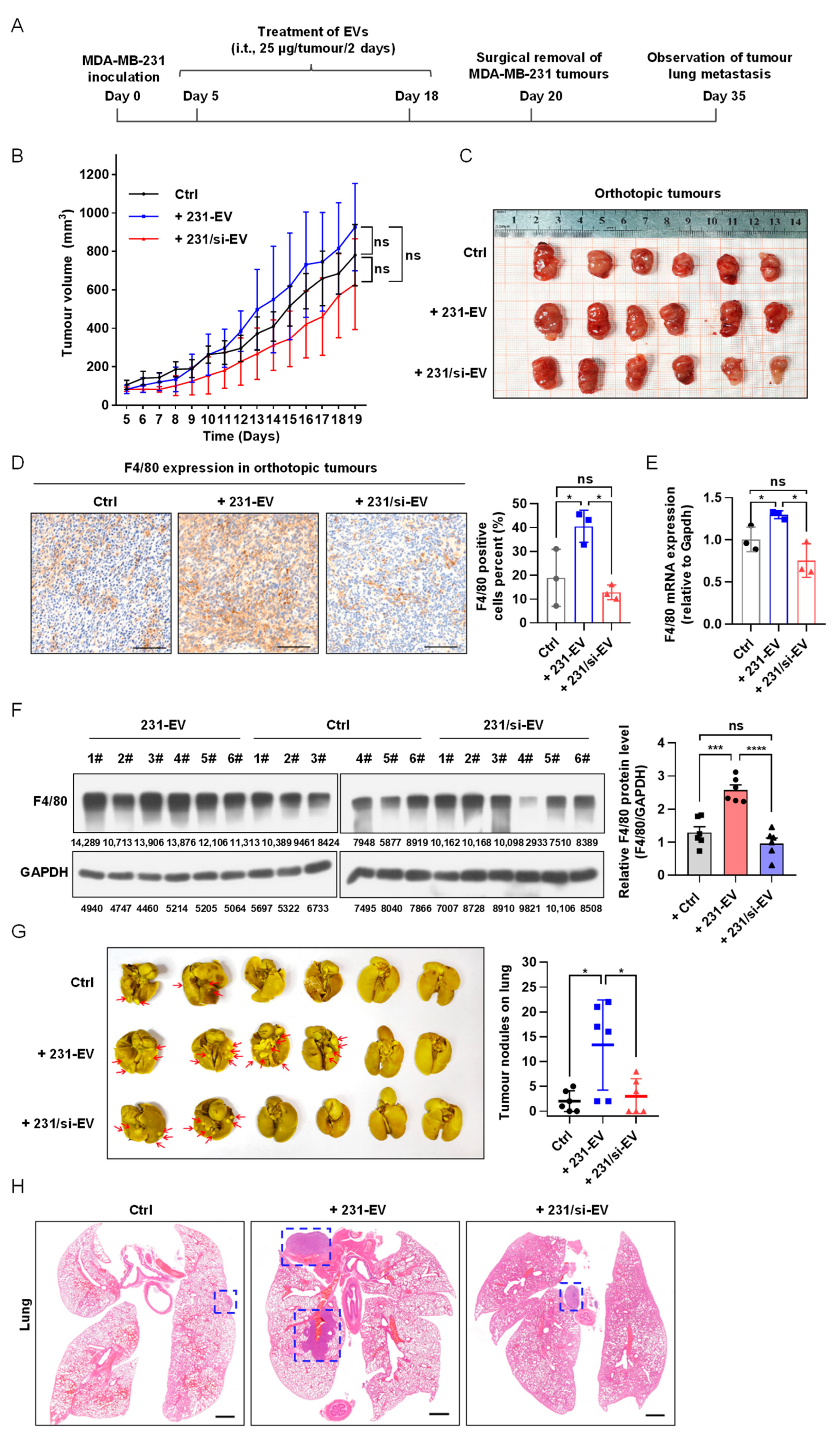 Biology 11 00543 g003