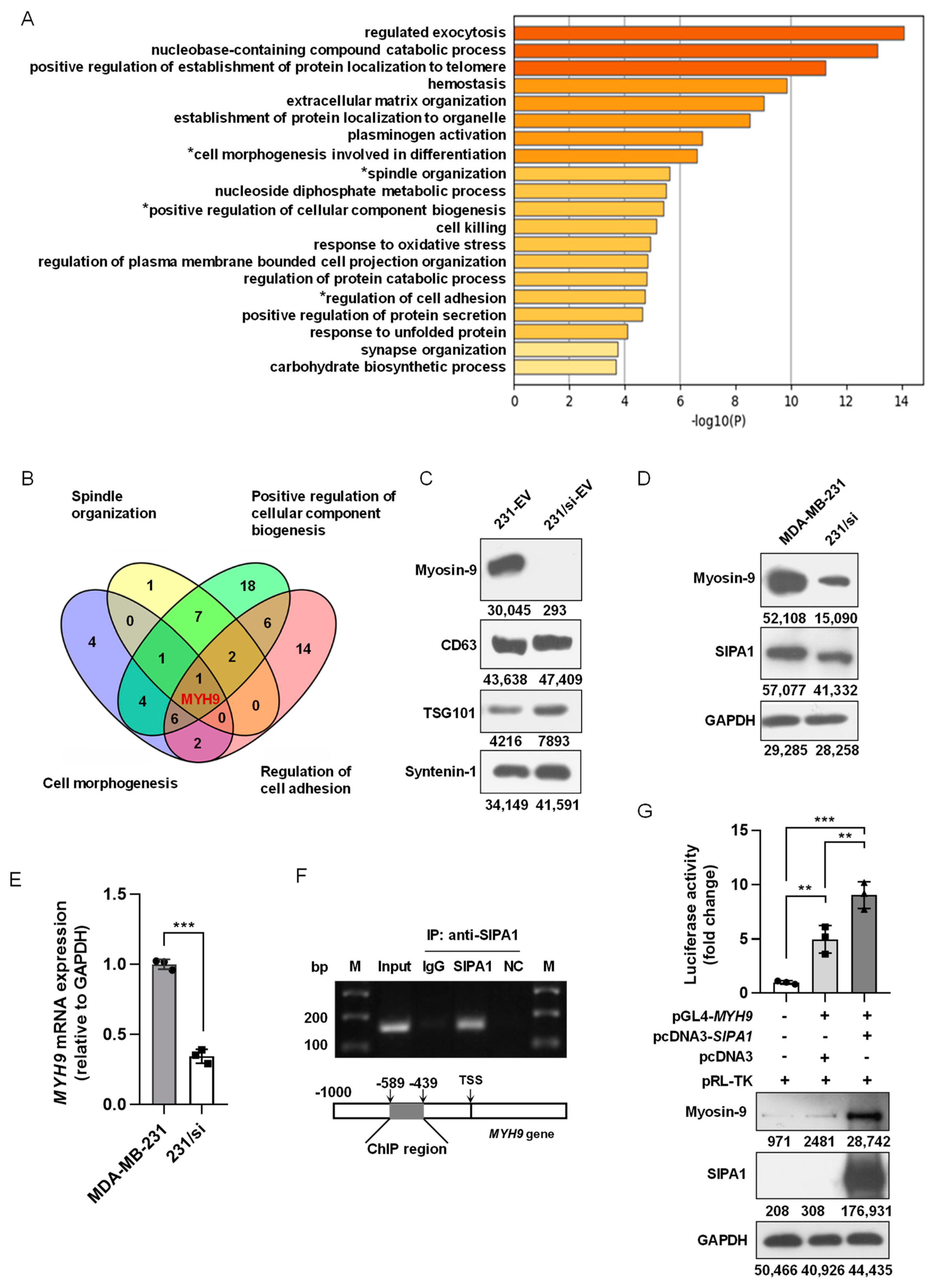 Biology 11 00543 g004