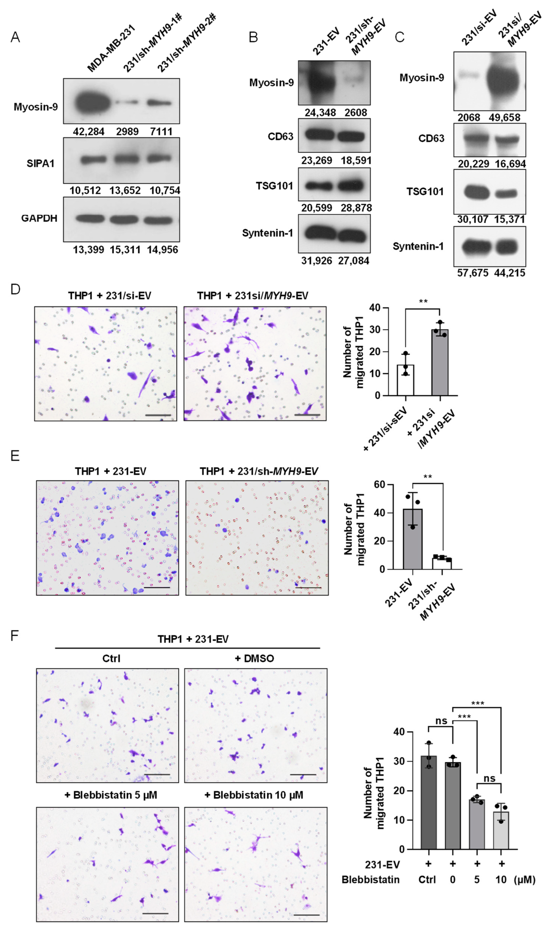 Biology 11 00543 g005