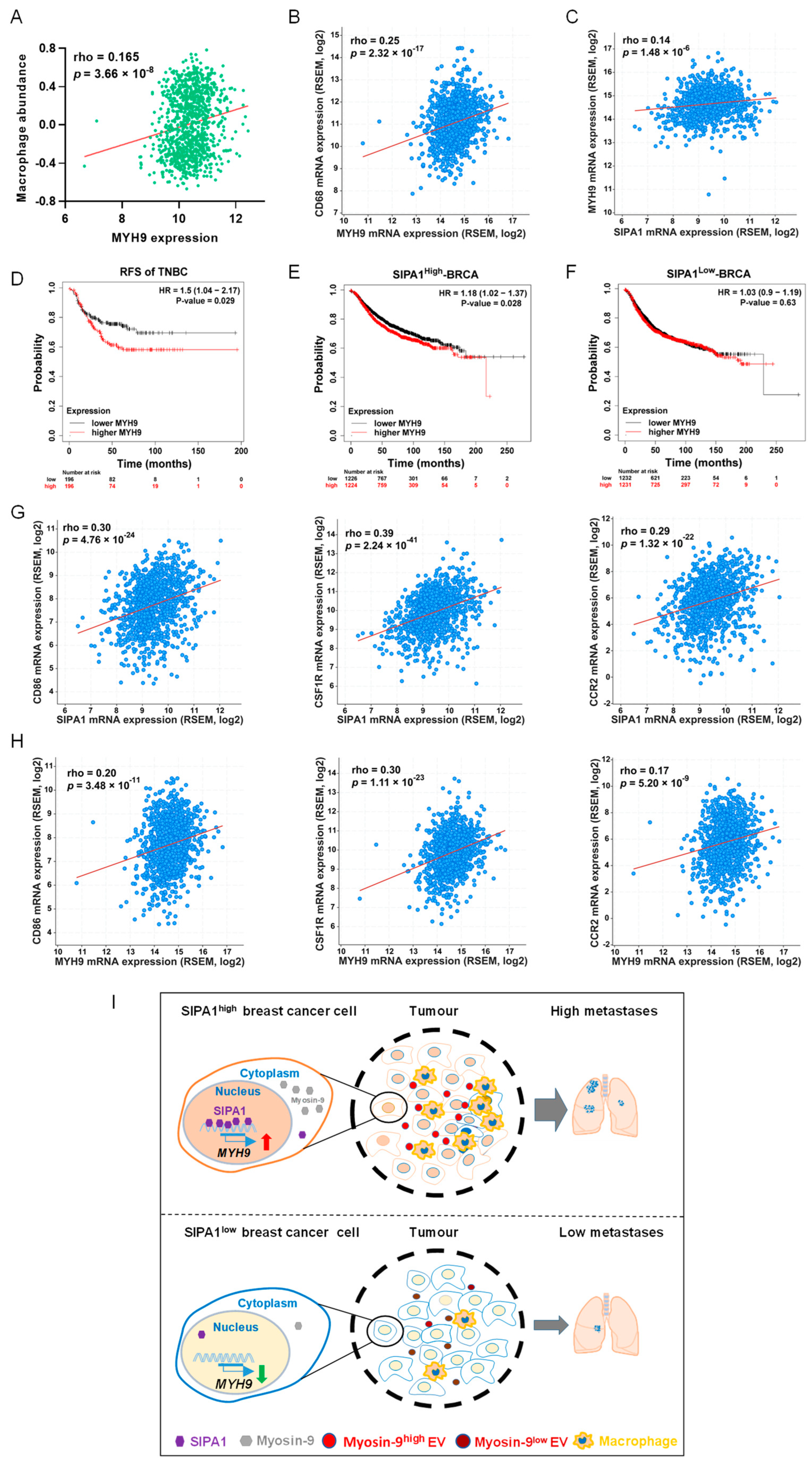 Biology 11 00543 g006