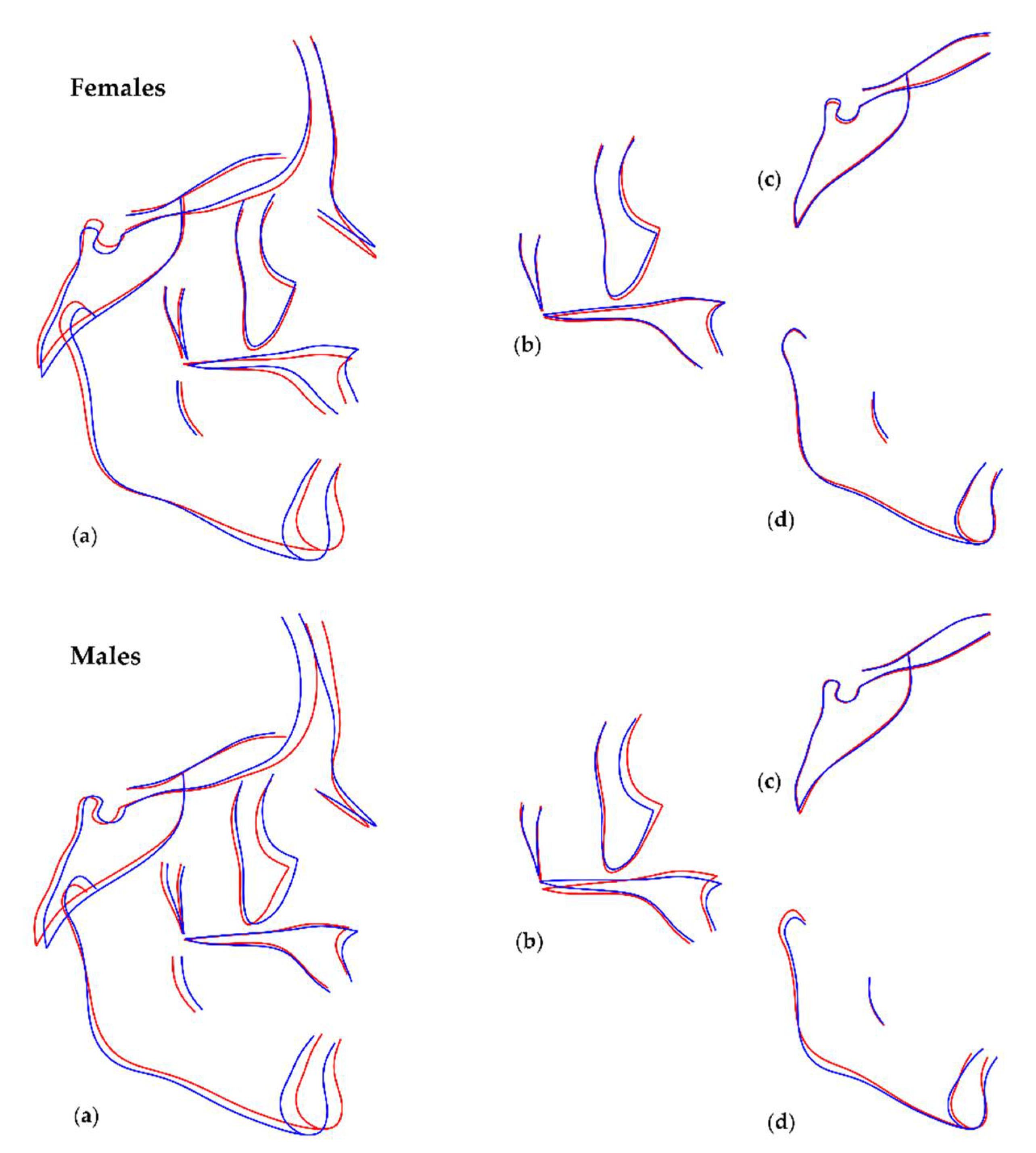 Biology 11 00544 g007