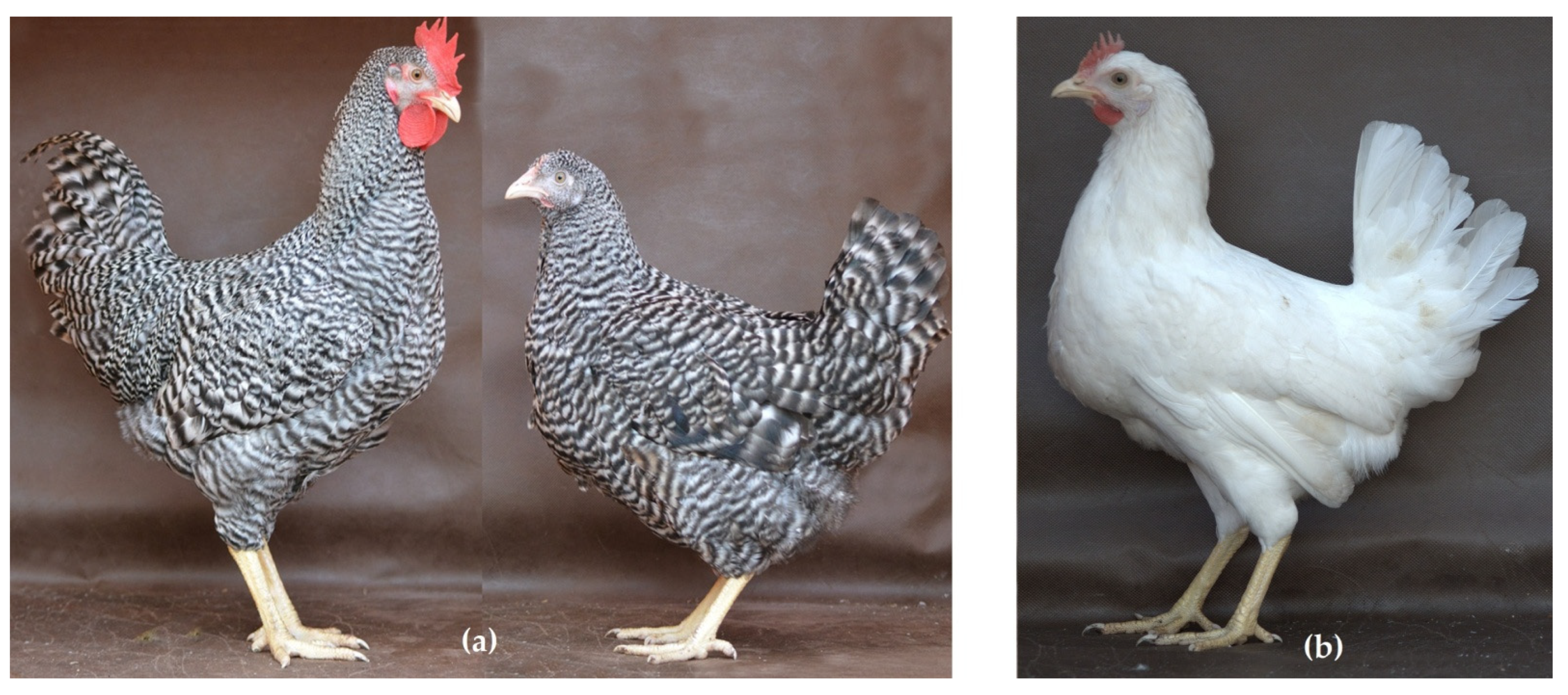 Biology 11 00547 g002