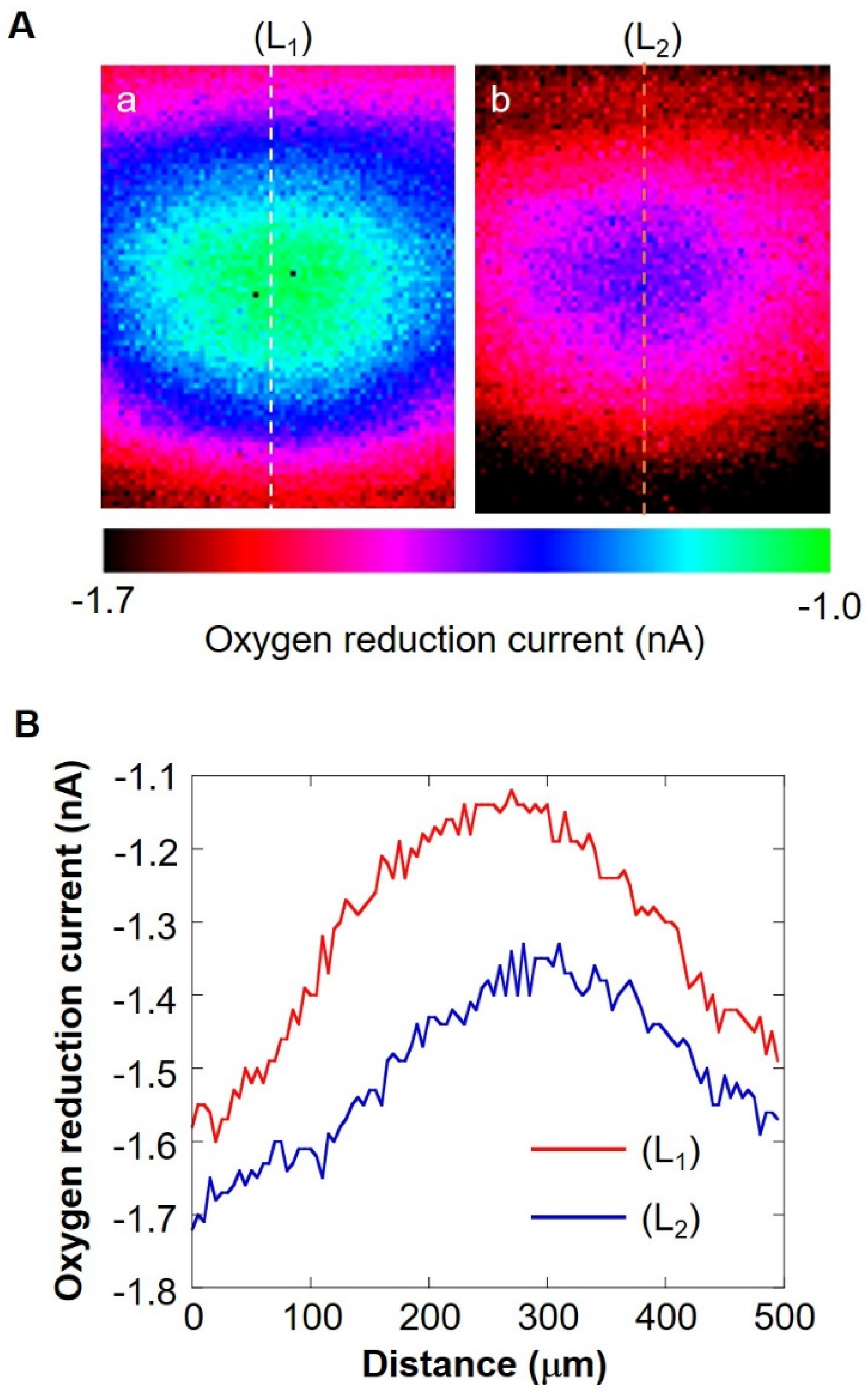Biology 11 00549 g006 550