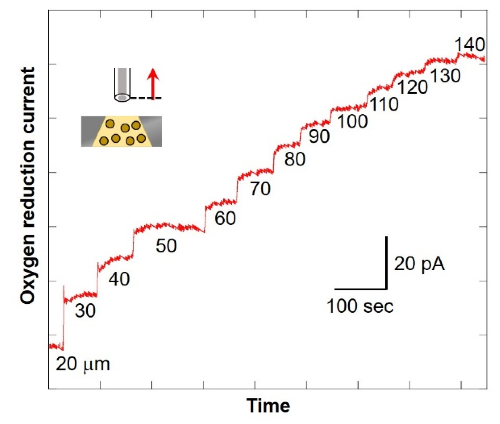 Biology 11 00549 g008 550