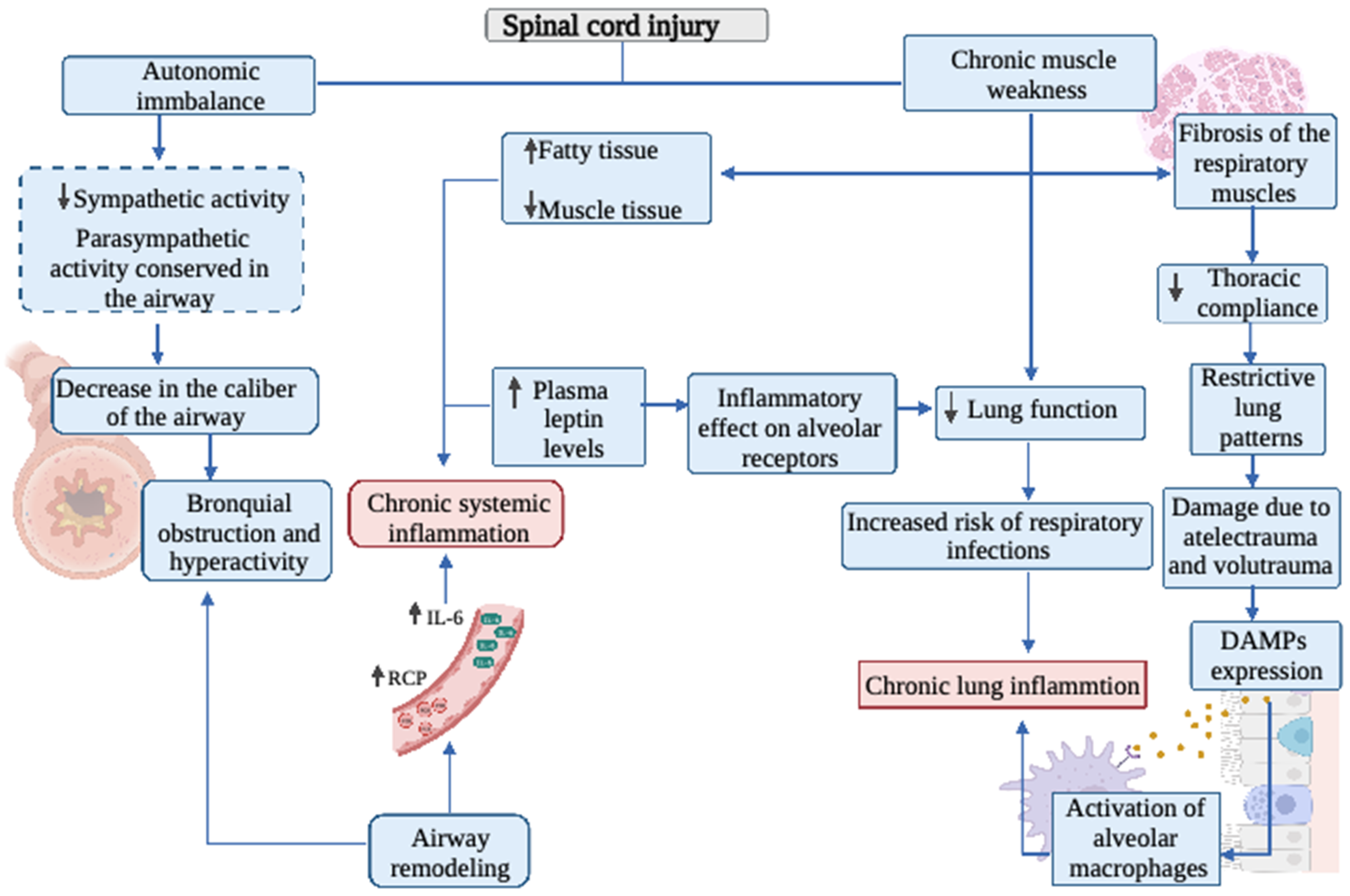 Biology 11 00550 g001