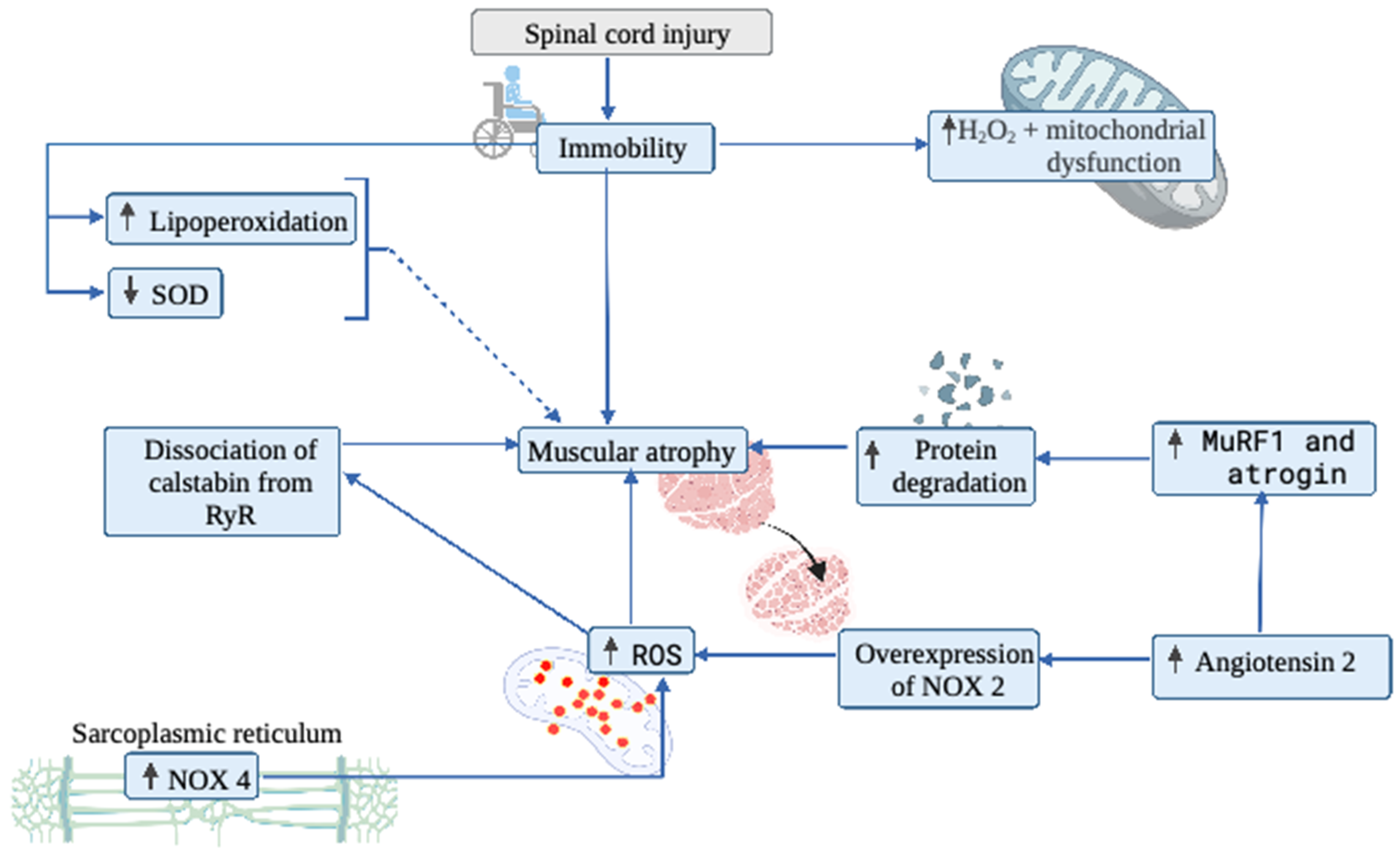 Biology 11 00550 g003