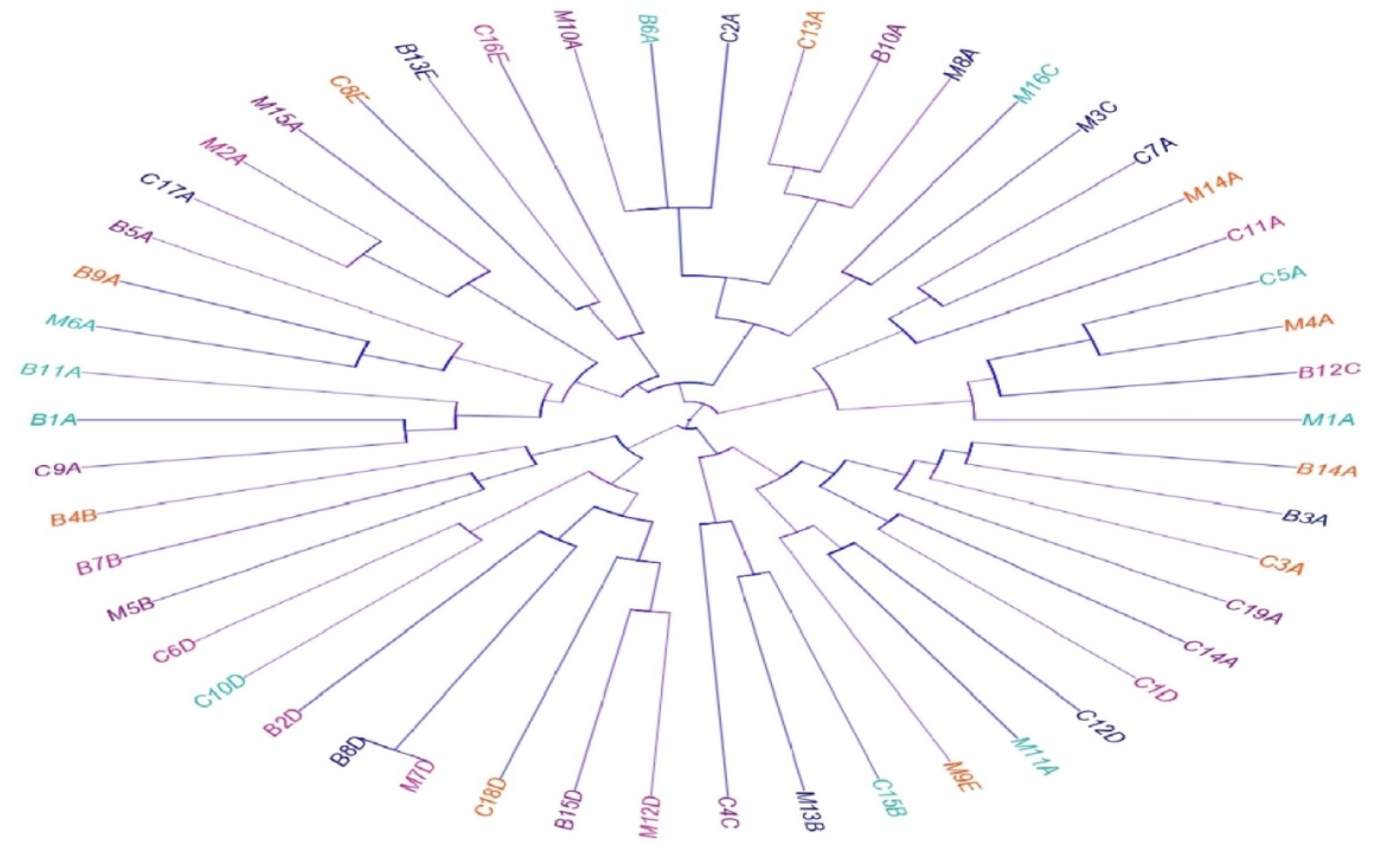Biology 11 00551 g004