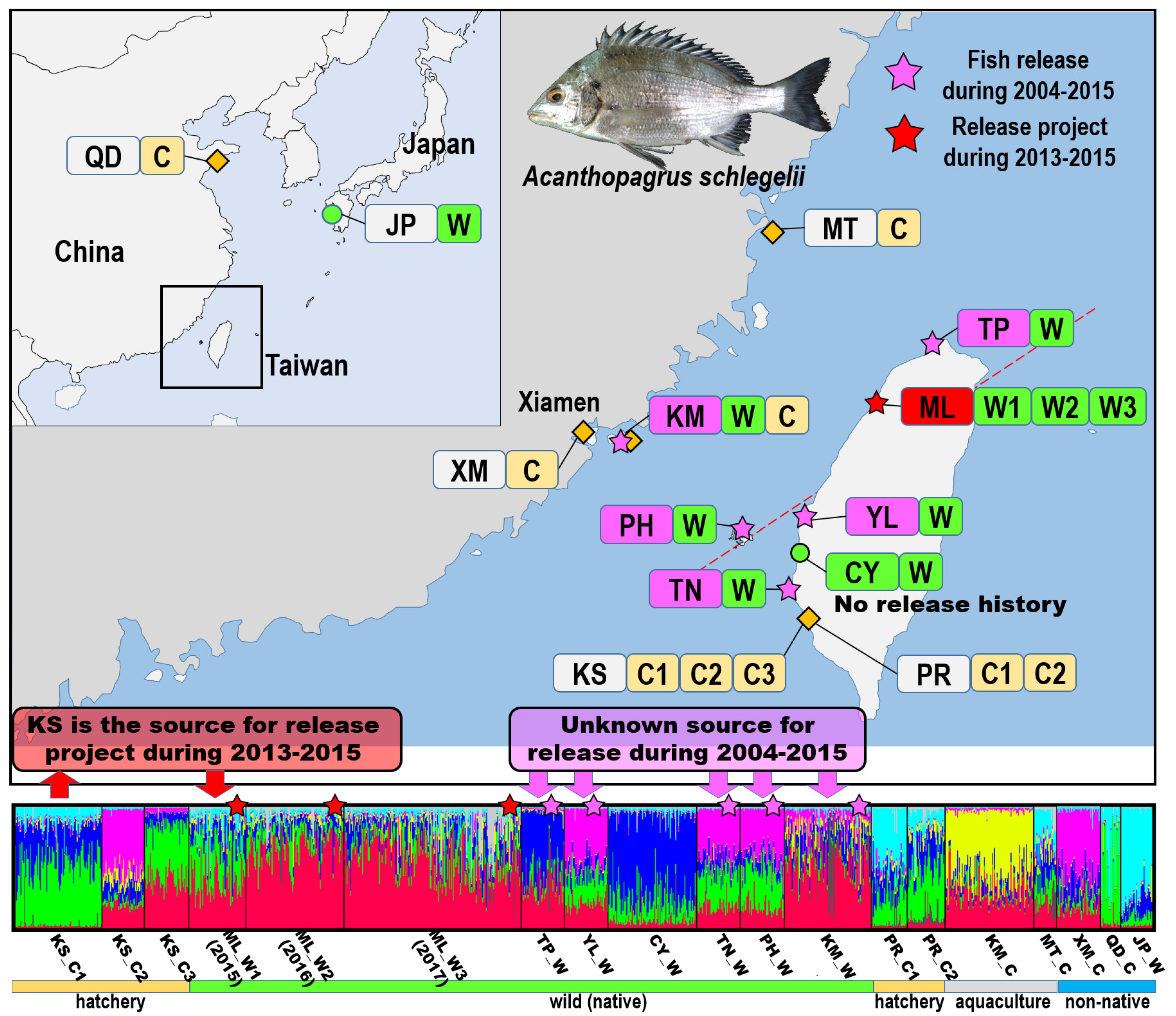Biology 11 00554 g002 Biology 11 00554 g002