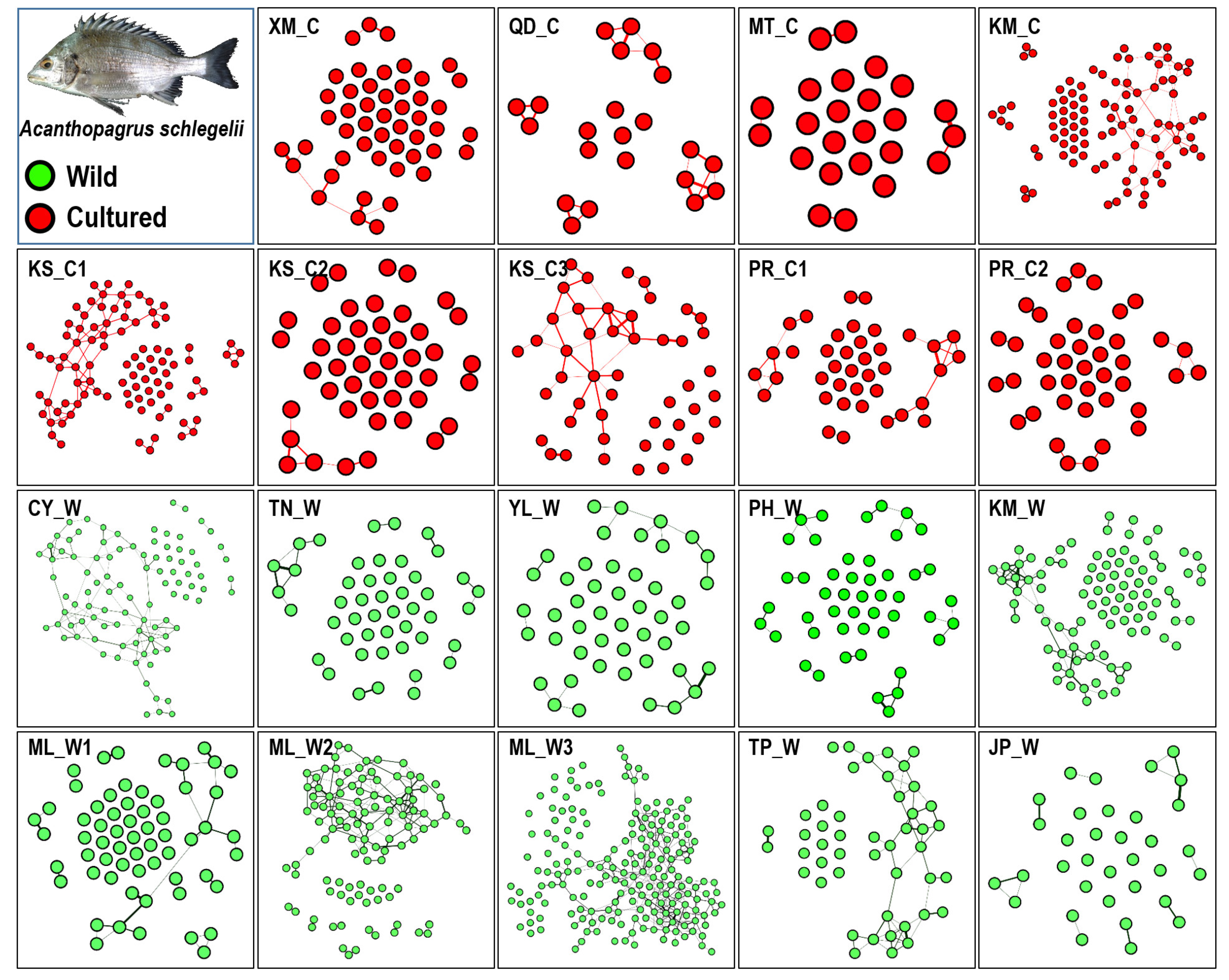 Biology 11 00554 g004 Biology 11 00554 g004
