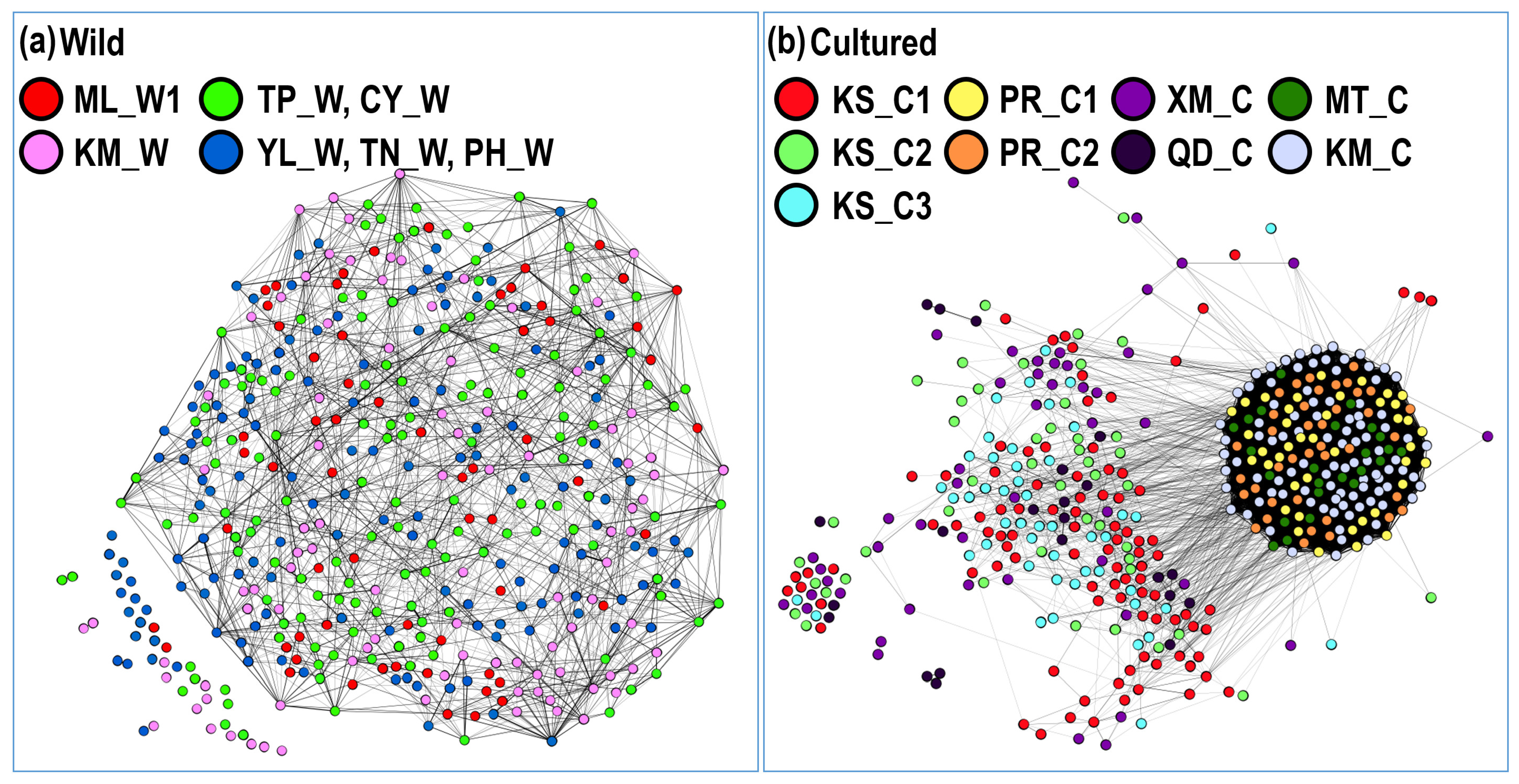 Biology 11 00554 g005 Biology 11 00554 g005