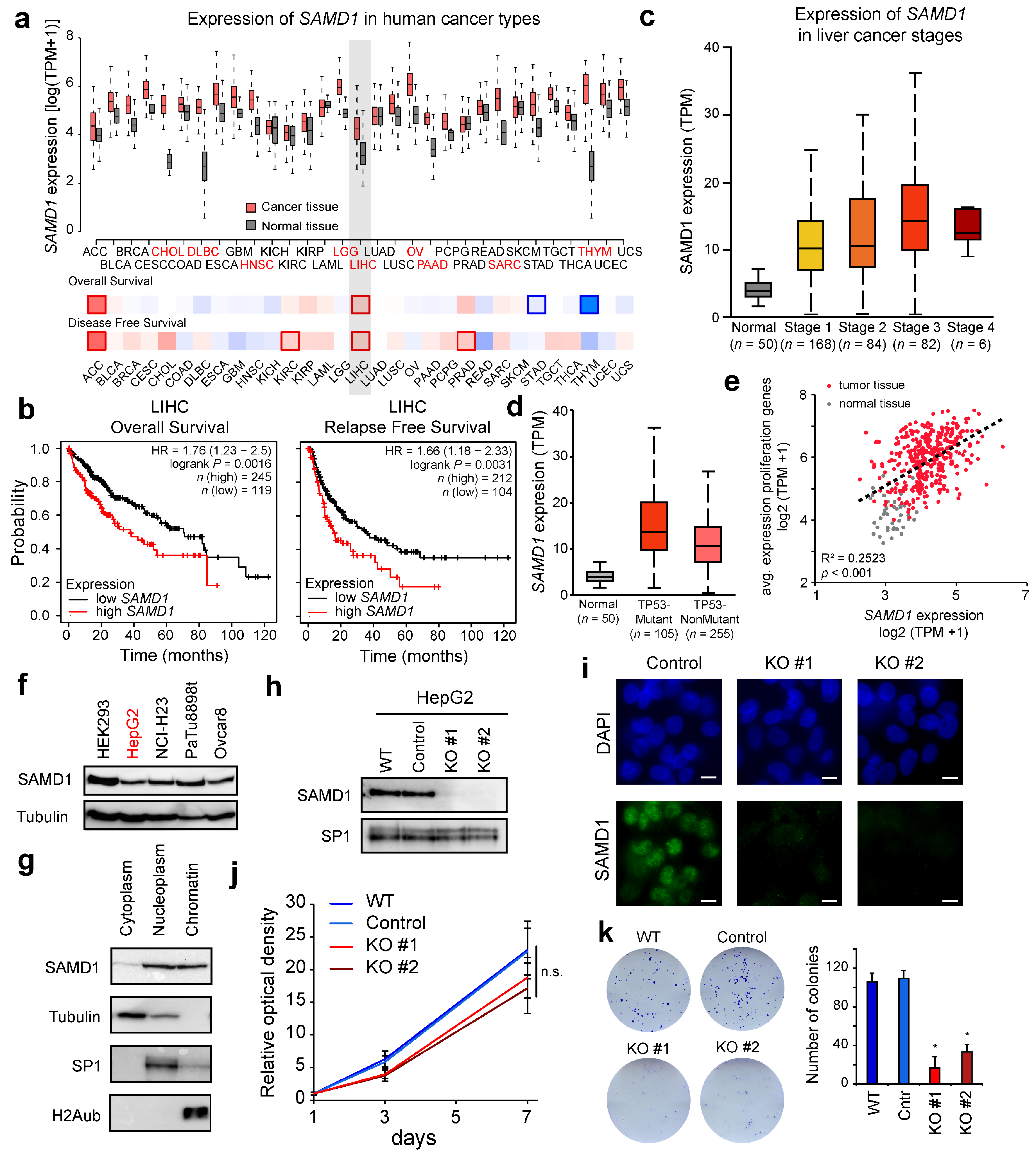 Biology 11 00557 g001 Biology 11 00557 g001