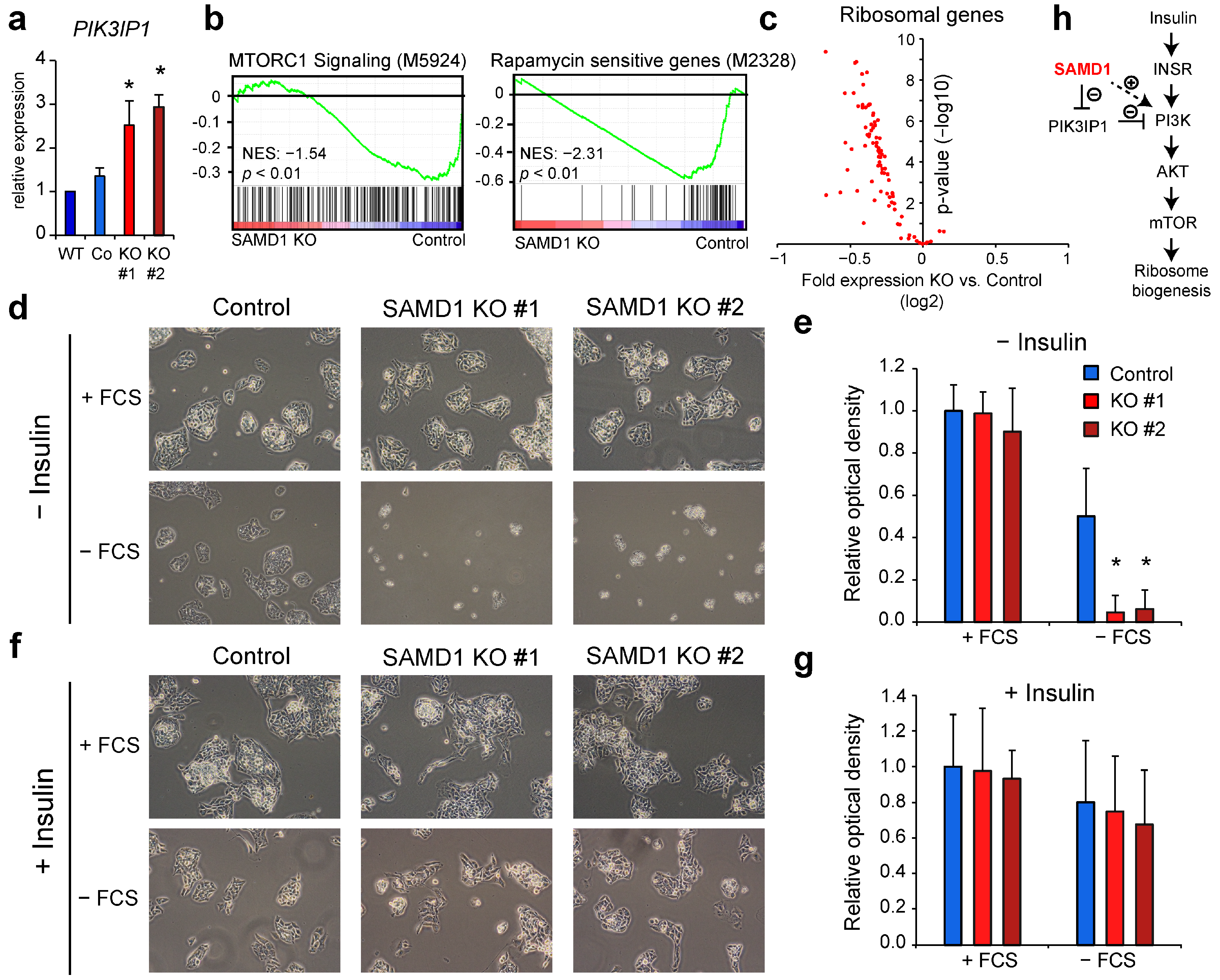 Biology 11 00557 g004 Biology 11 00557 g004