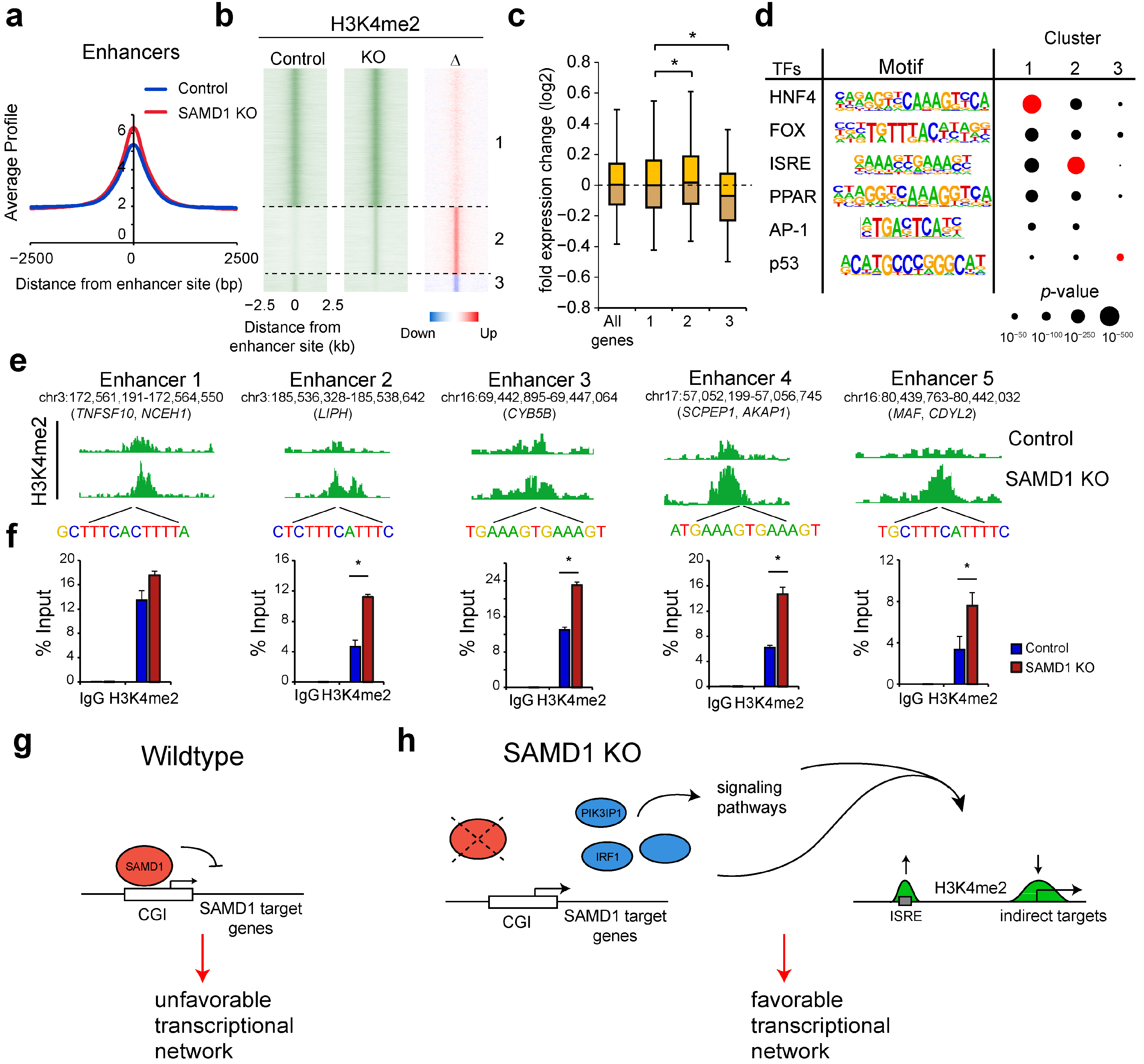 Biology 11 00557 g006 Biology 11 00557 g006