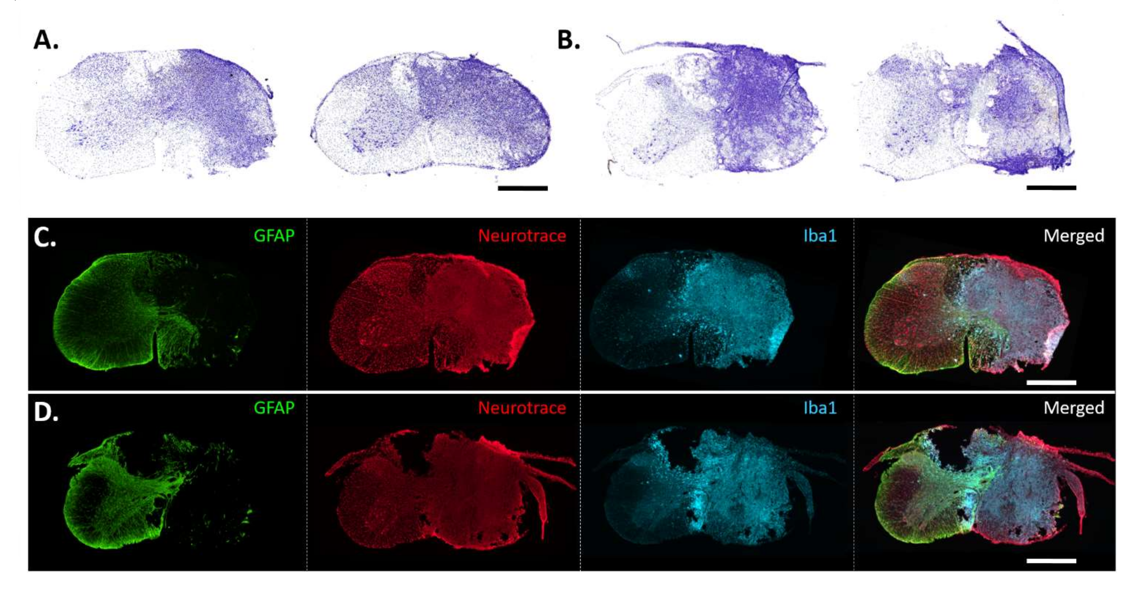 Biology 11 00558 g001 Biology 11 00558 g001