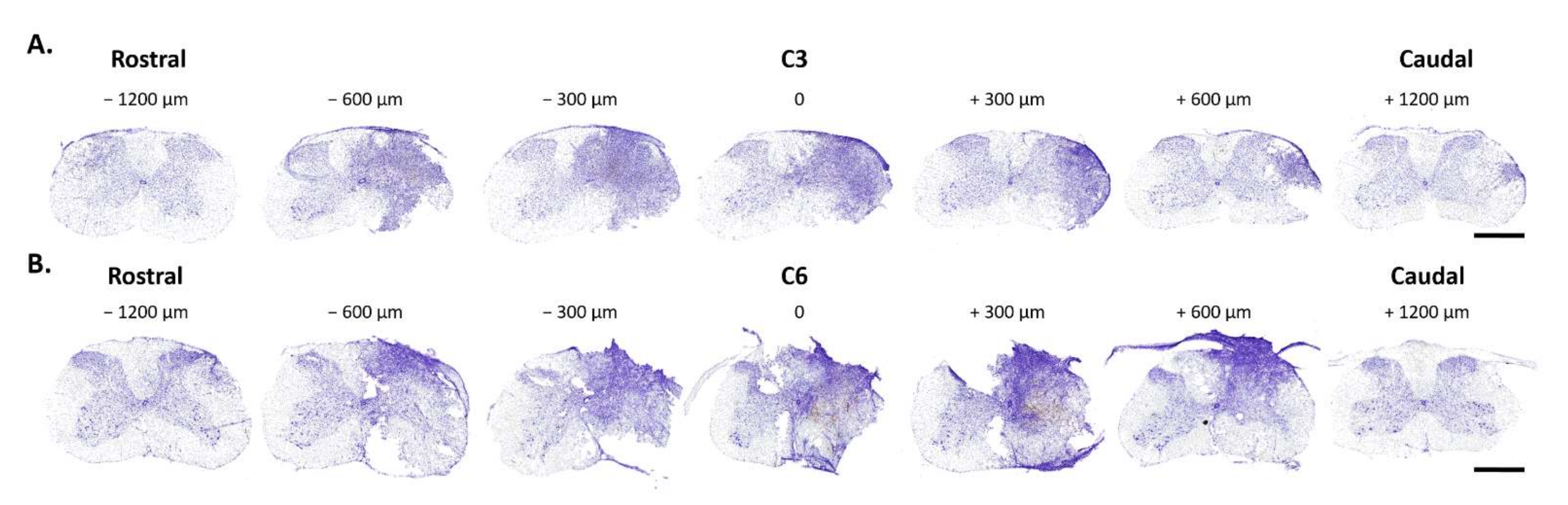Biology 11 00558 g002 Biology 11 00558 g002