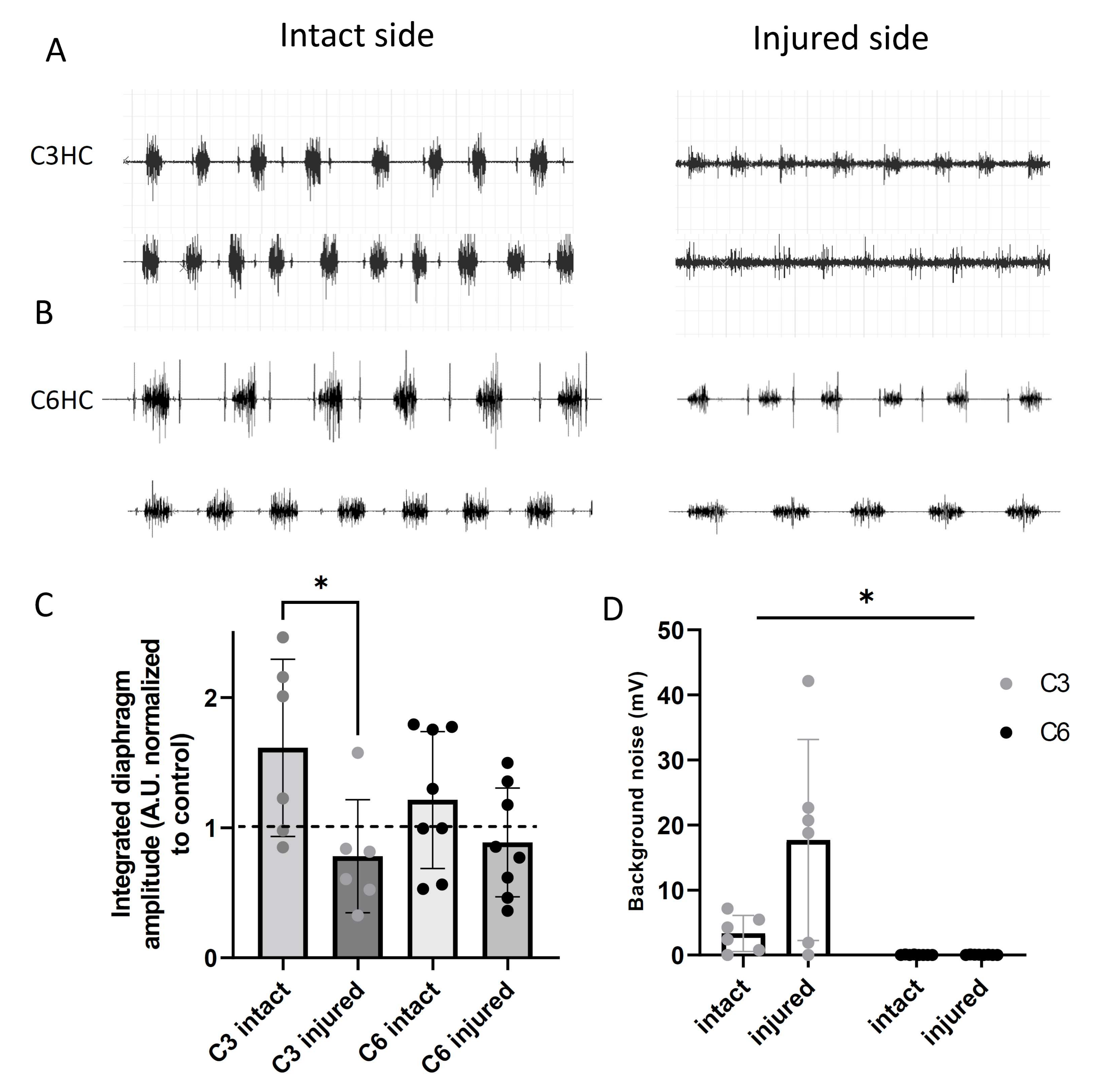 Biology 11 00558 g004 Biology 11 00558 g004