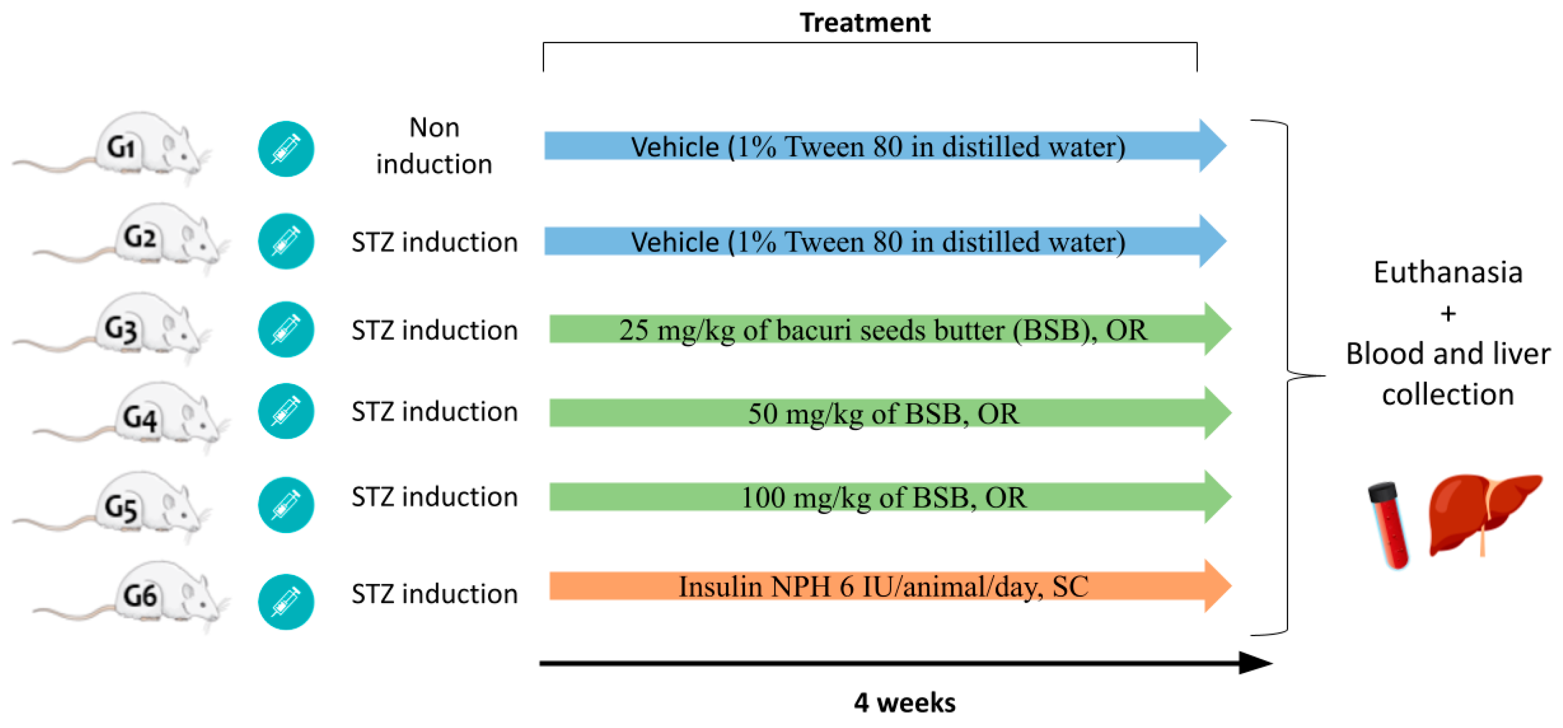 Biology 11 00562 g001 Biology 11 00562 g001