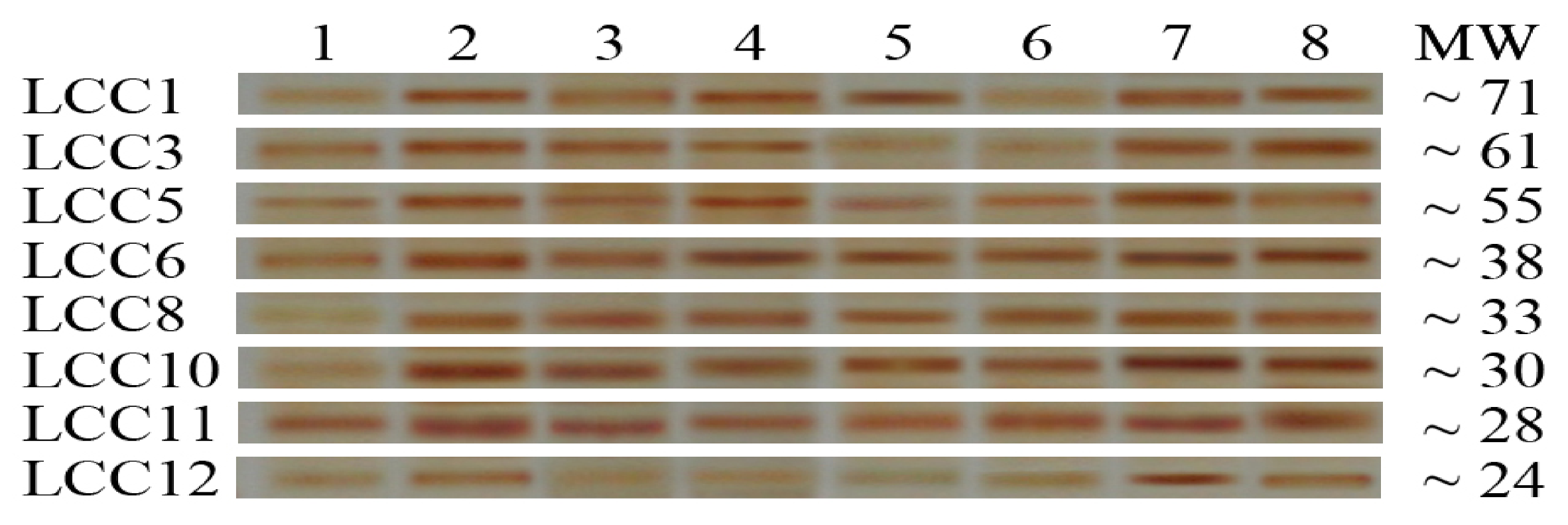 Biology 11 00564 g003 Biology 11 00564 g003