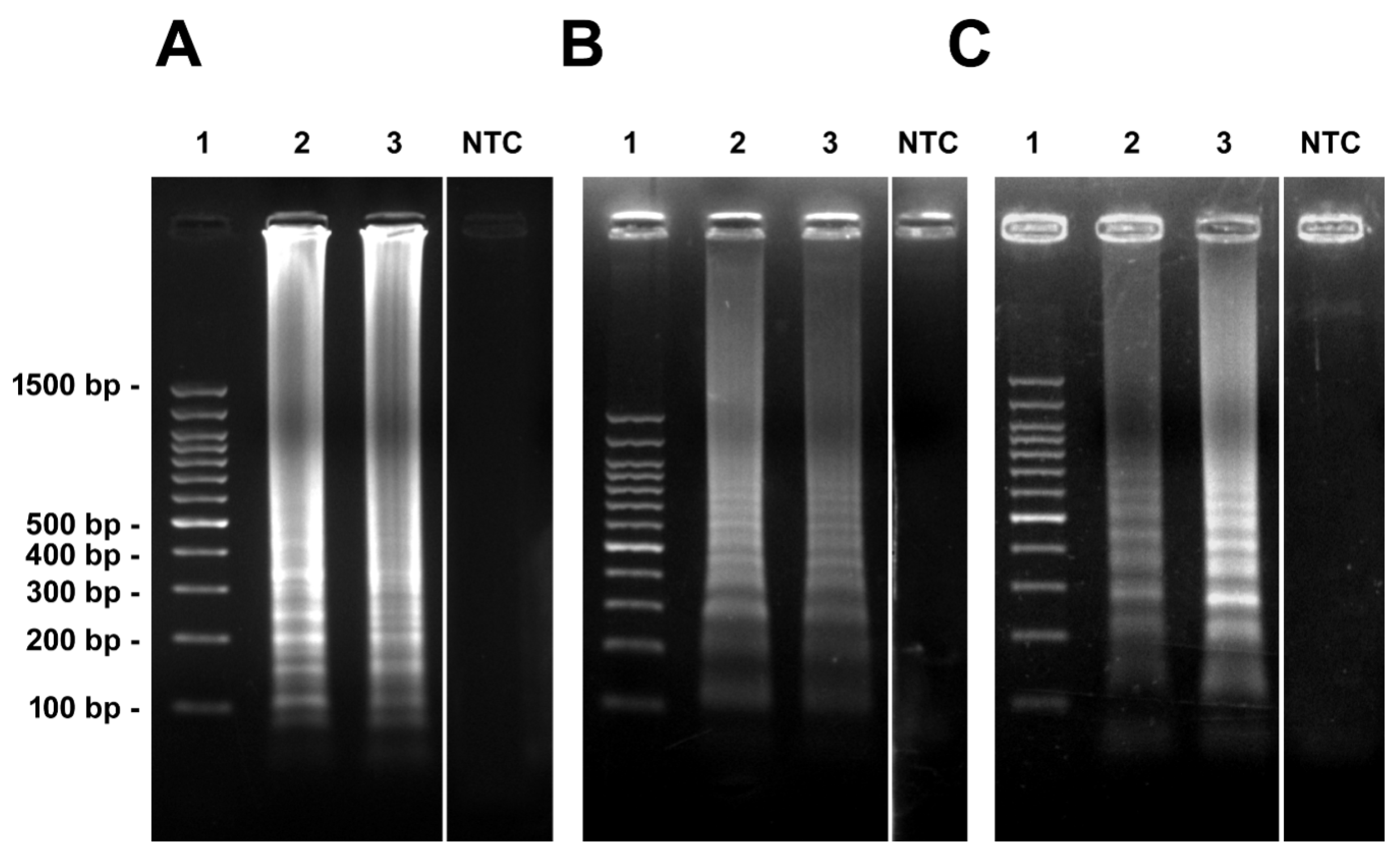 Biology 11 00565 g001 550
