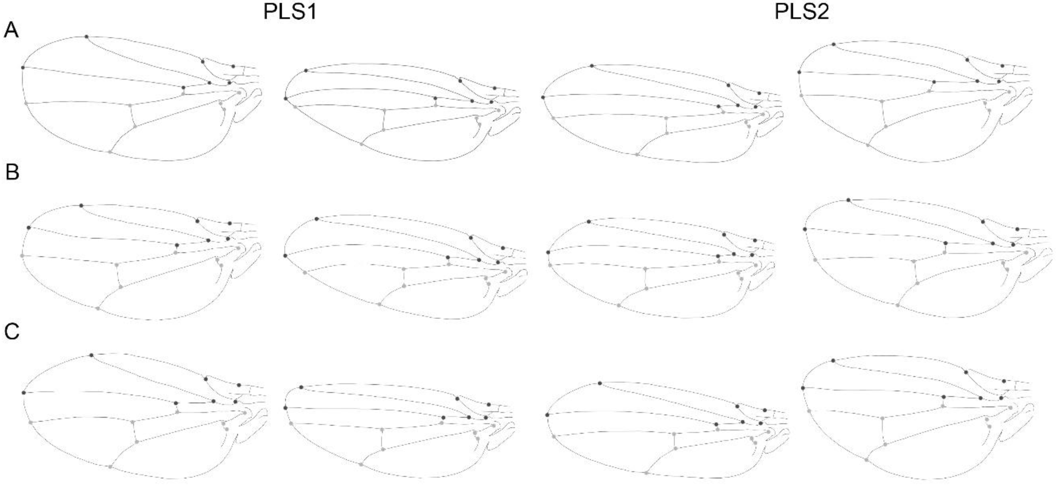 Biology 11 00567 g006 550