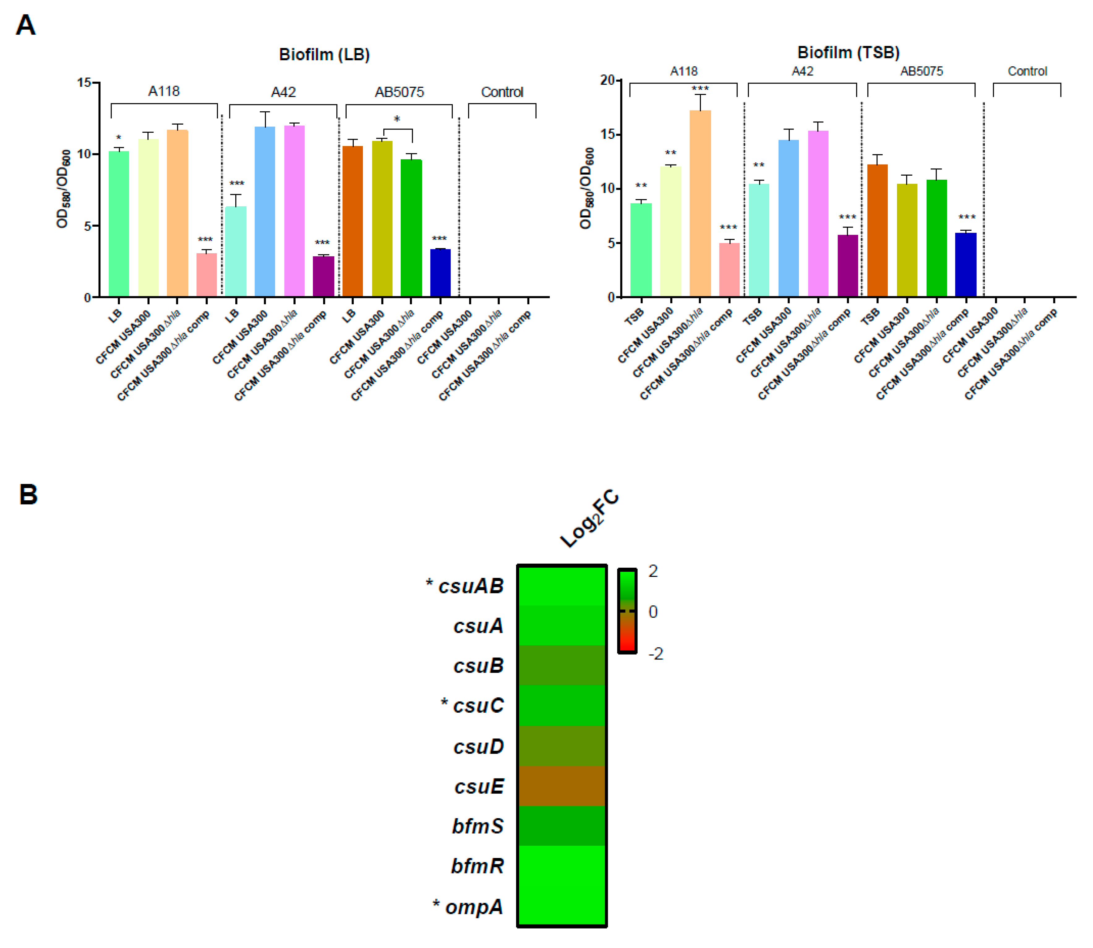 Biology 11 00570 g002