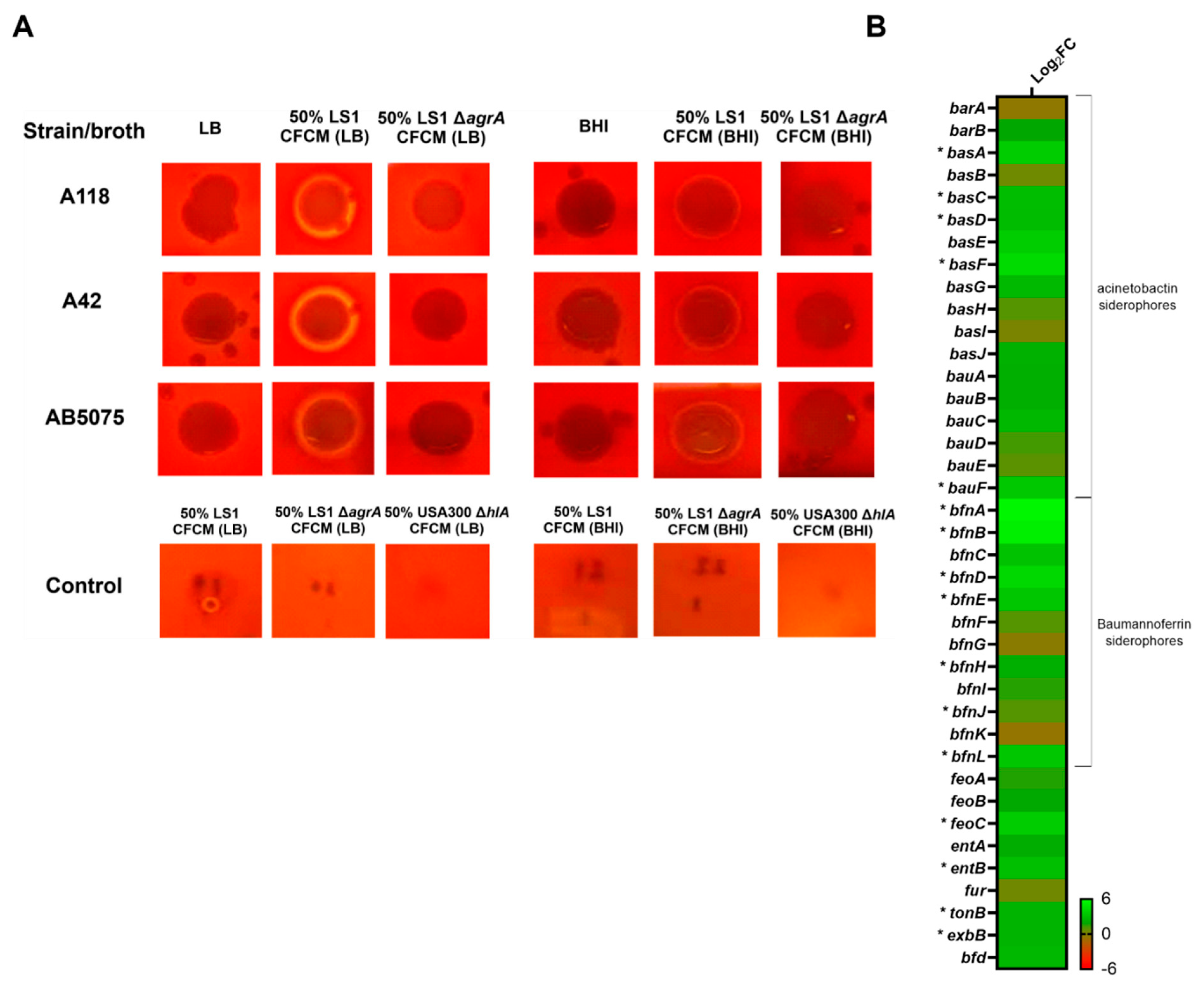 Biology 11 00570 g003