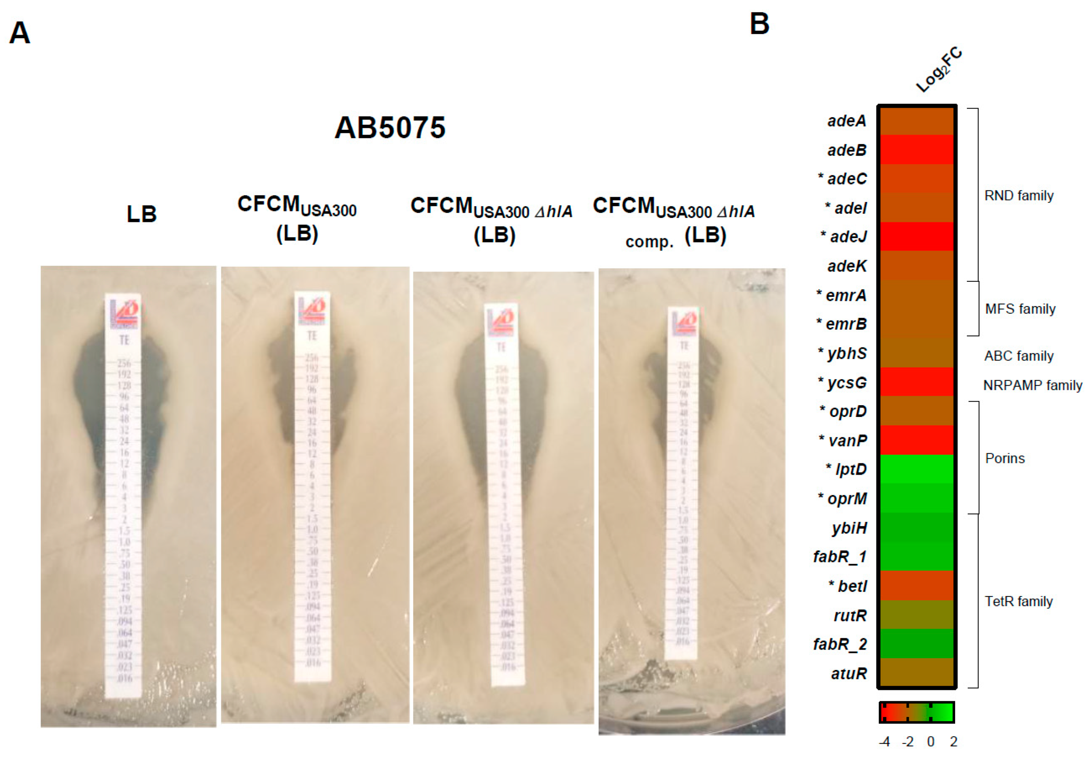 Biology 11 00570 g004