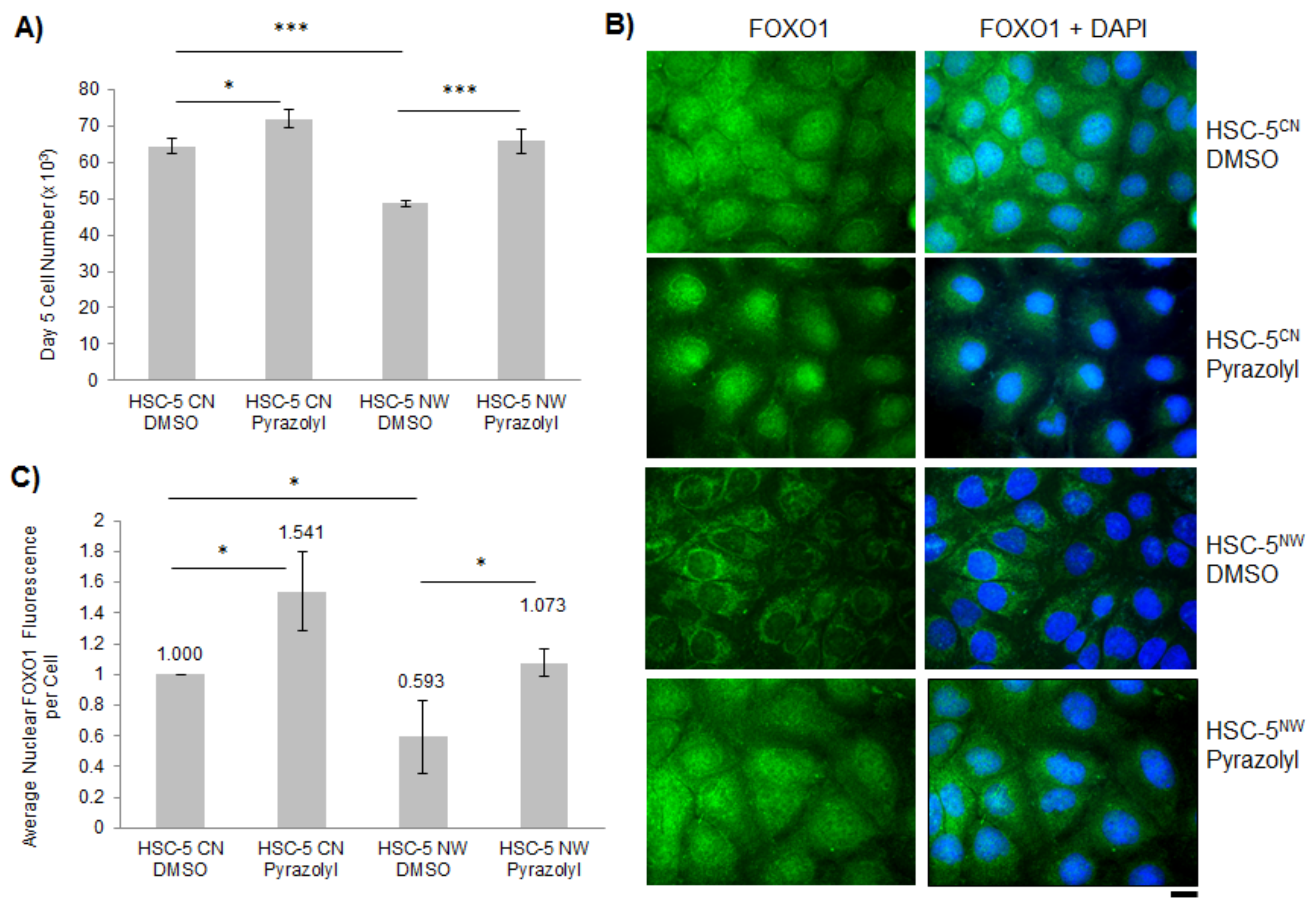 Biology 11 00582 g005 Biology 11 00582 g005