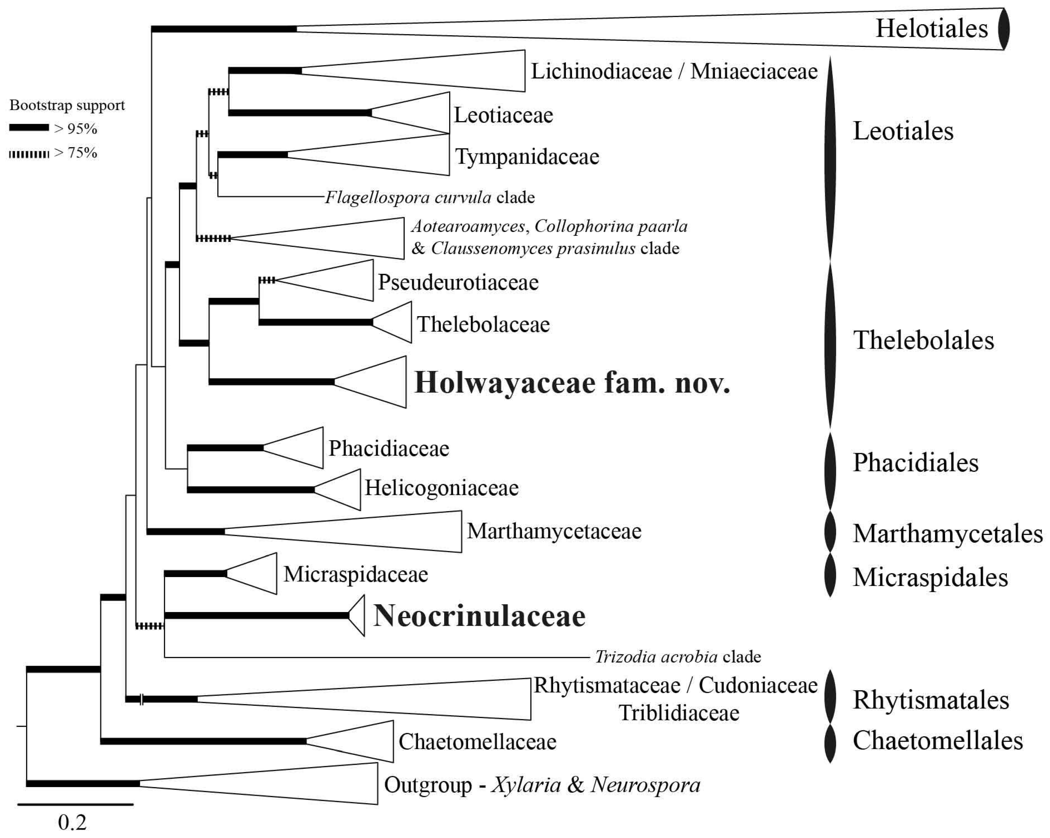 Biology 11 00583 g001