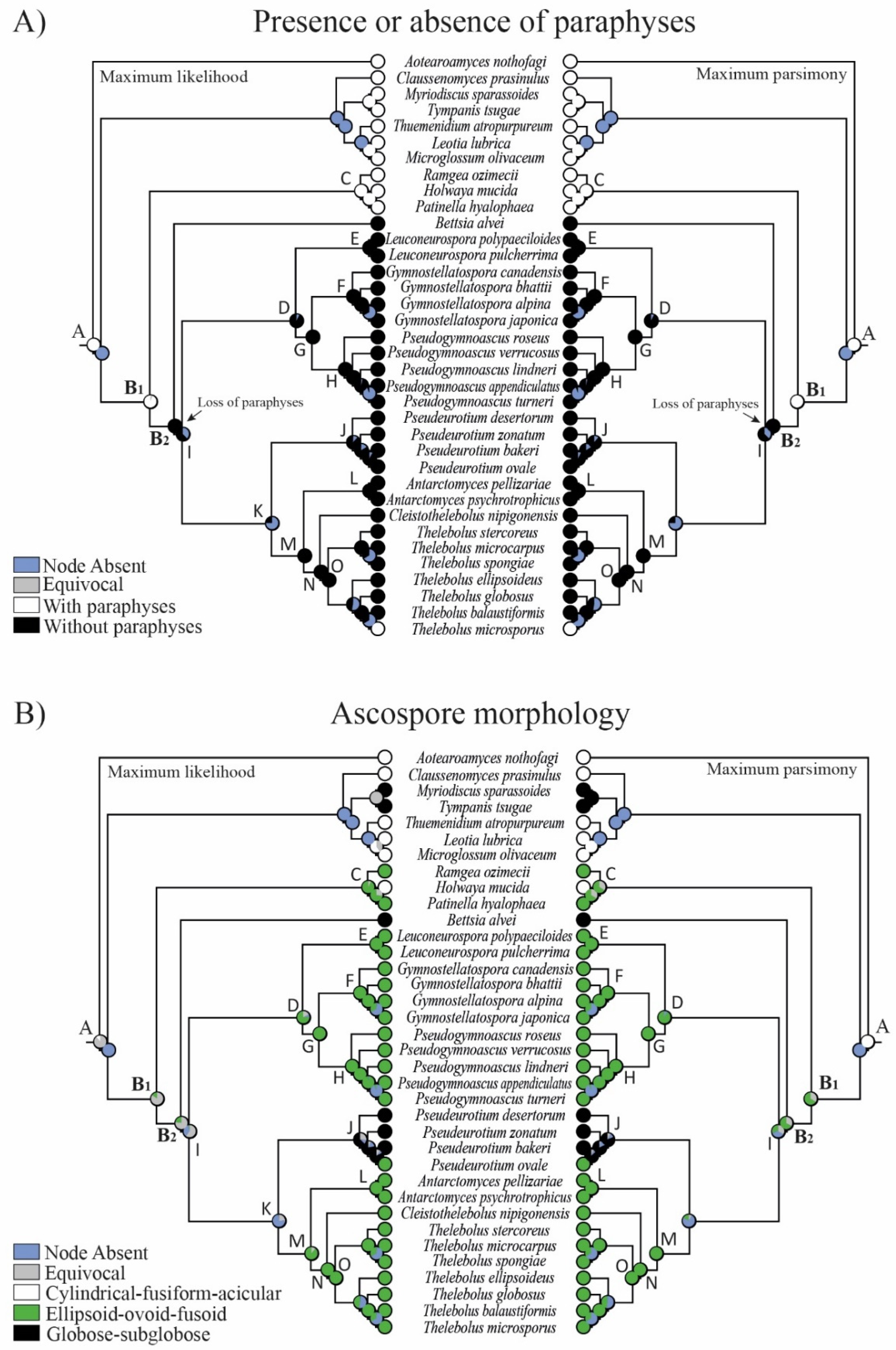 Biology 11 00583 g003