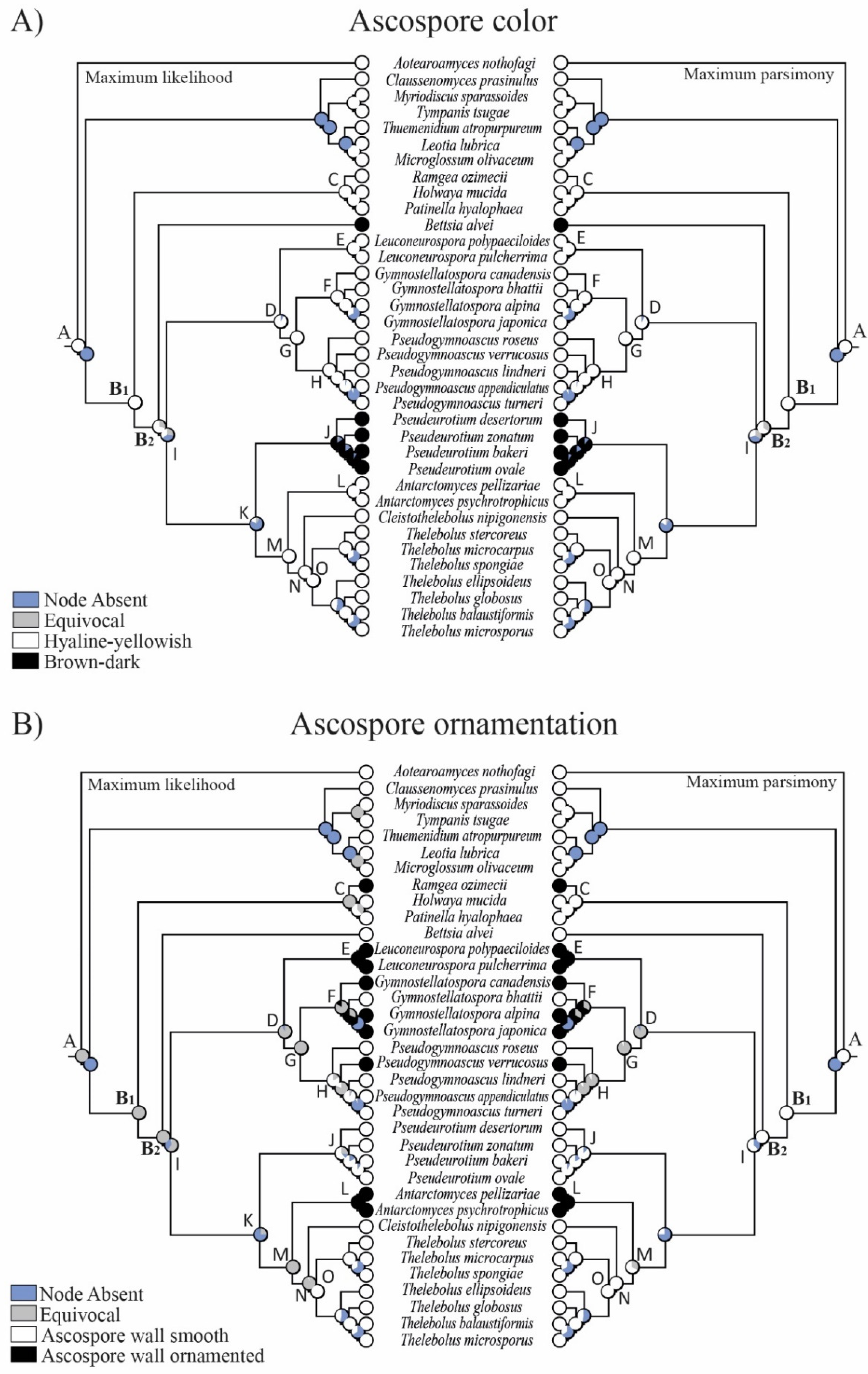 Biology 11 00583 g004