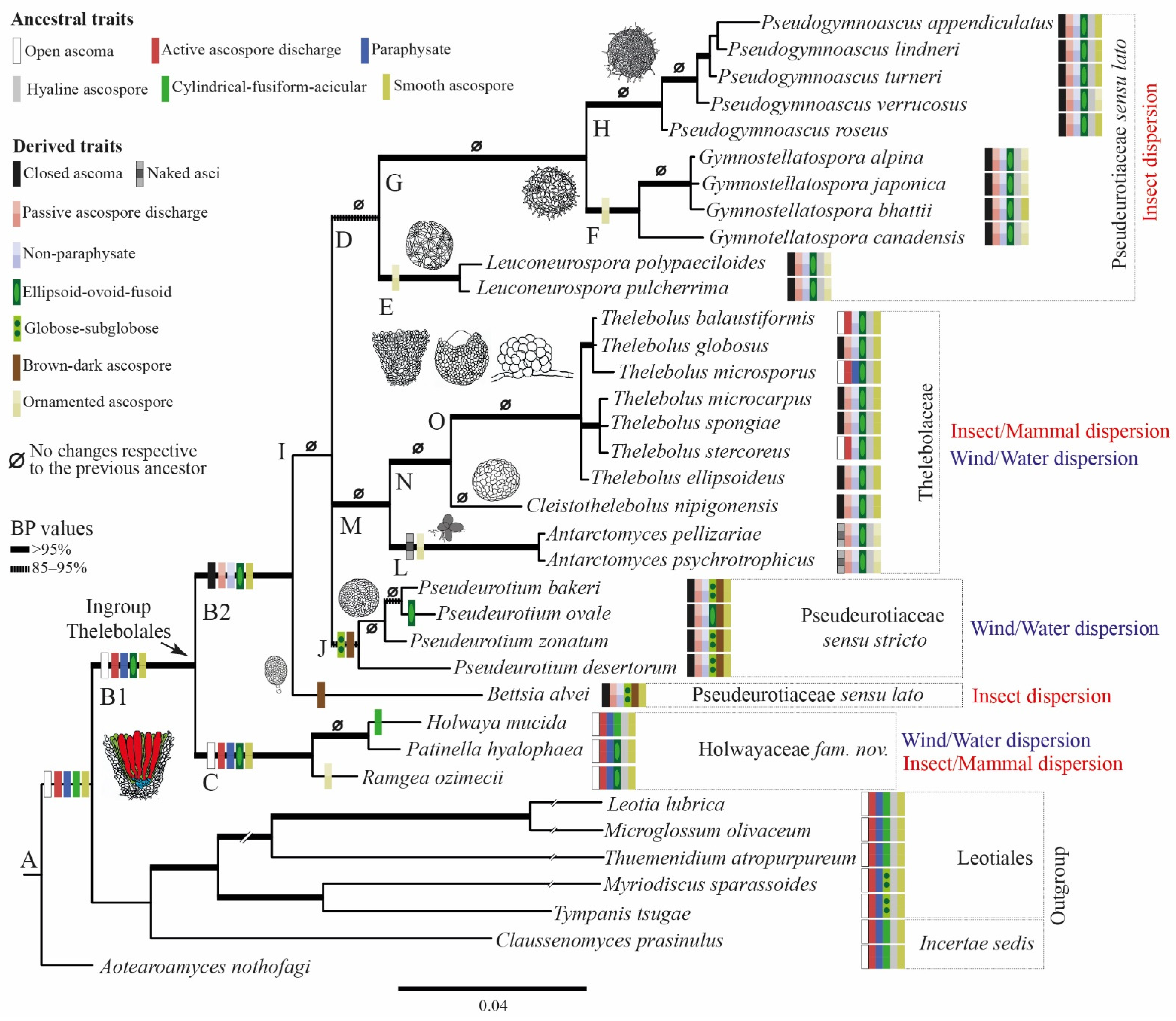 Biology 11 00583 g005