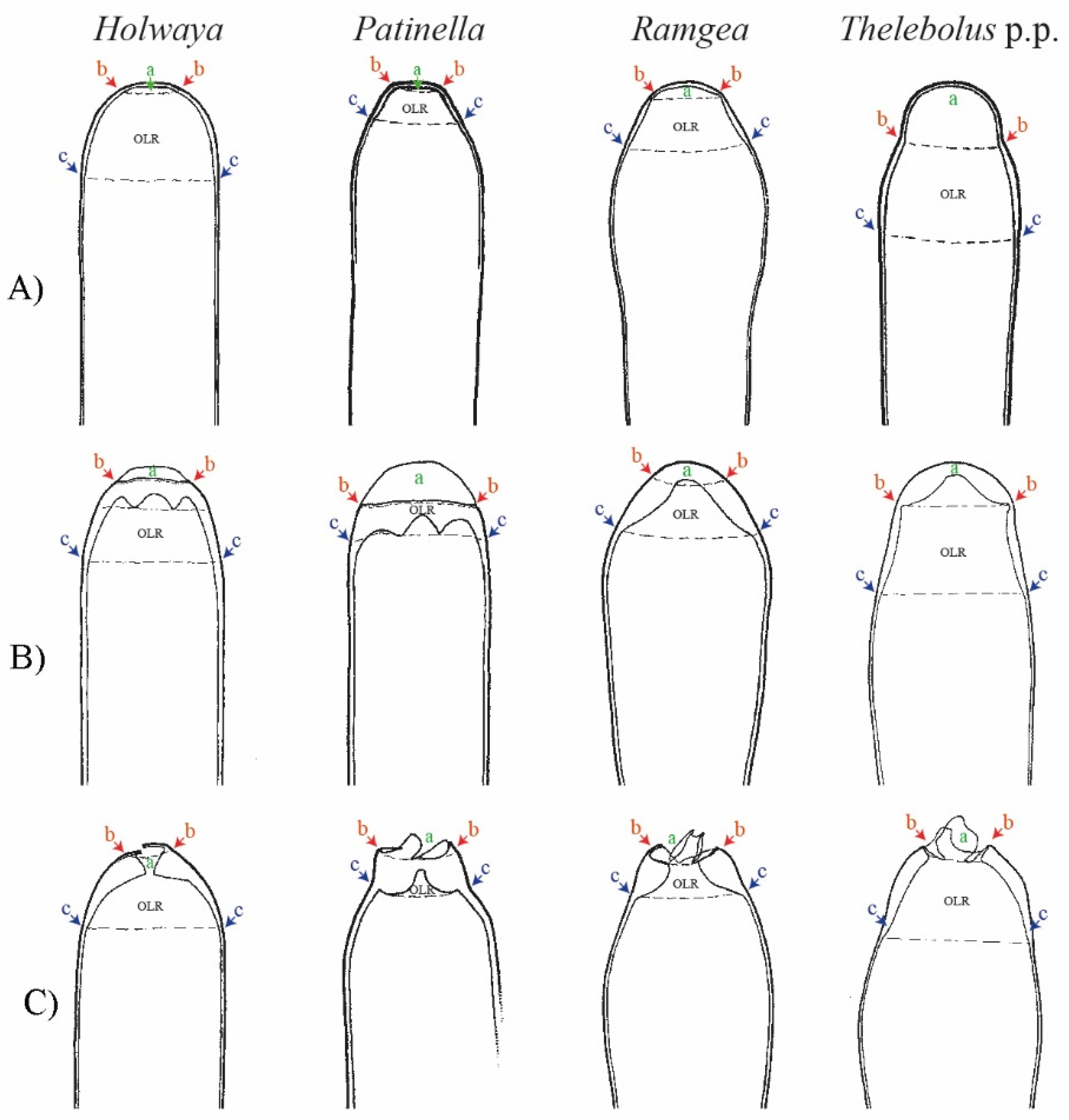Biology 11 00583 g008