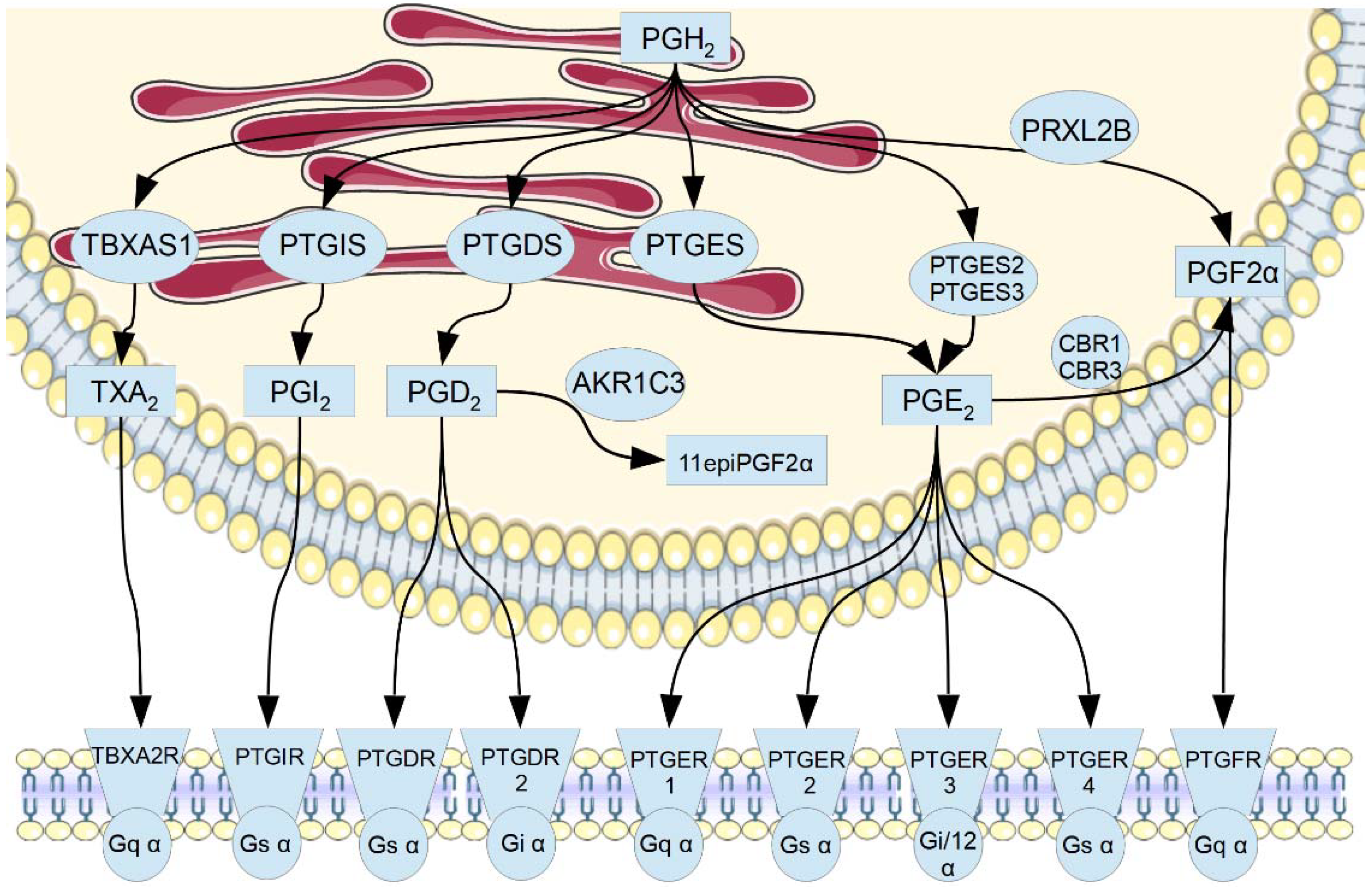 HPA legacy document.pdf - Health Promotion Agency