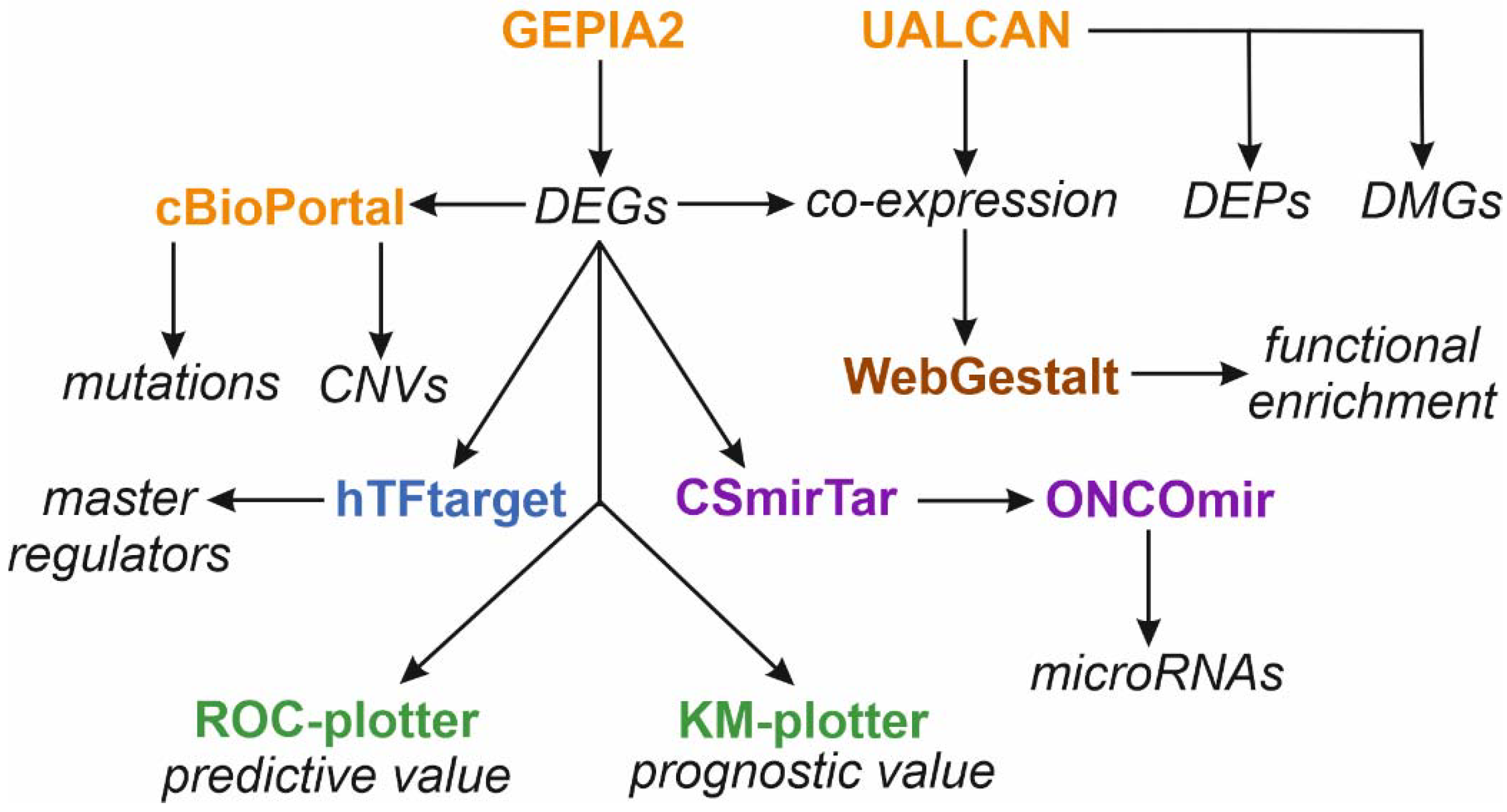 Biology 11 00590 g002 Biology 11 00590 g002