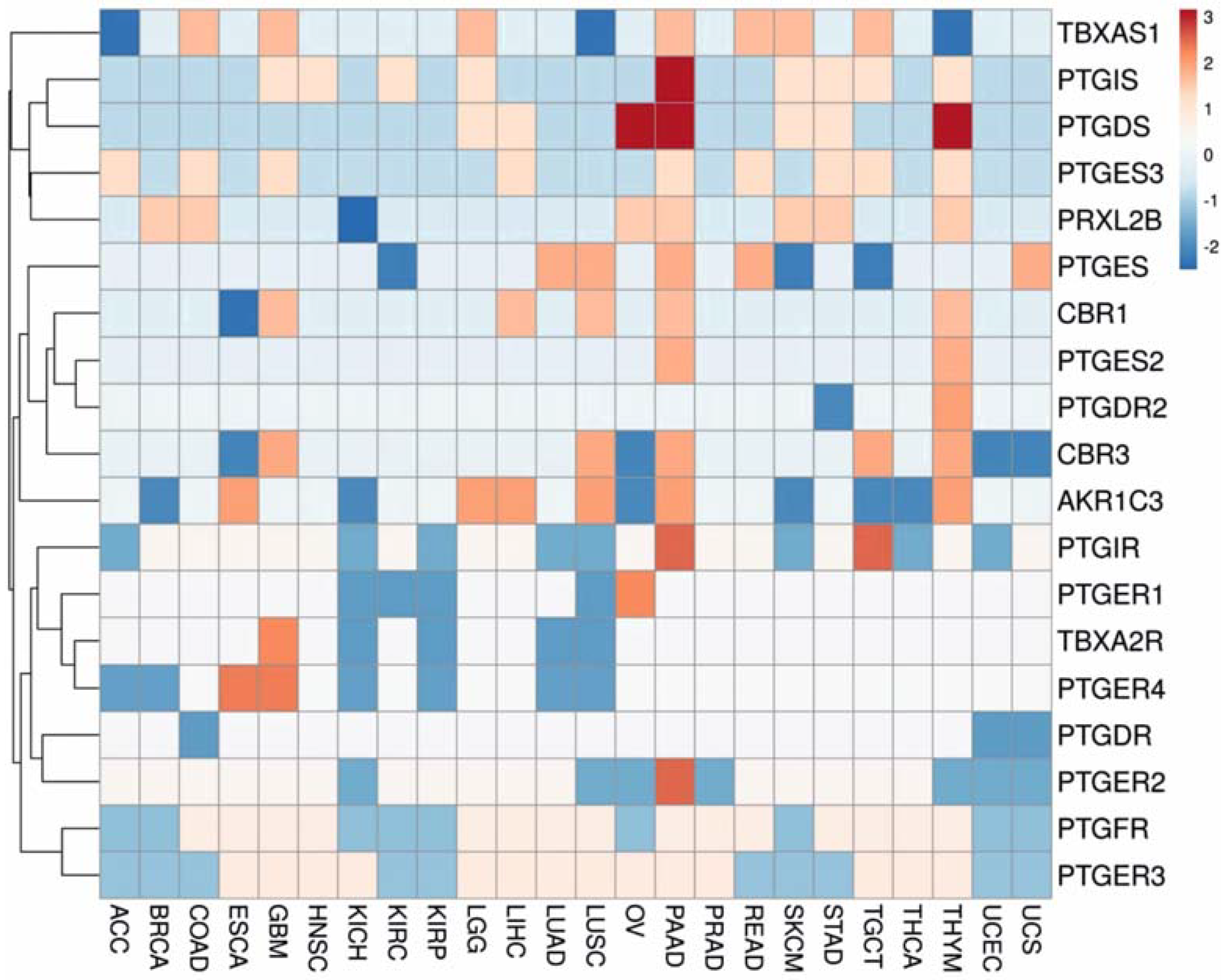 Biology 11 00590 g004 Biology 11 00590 g004