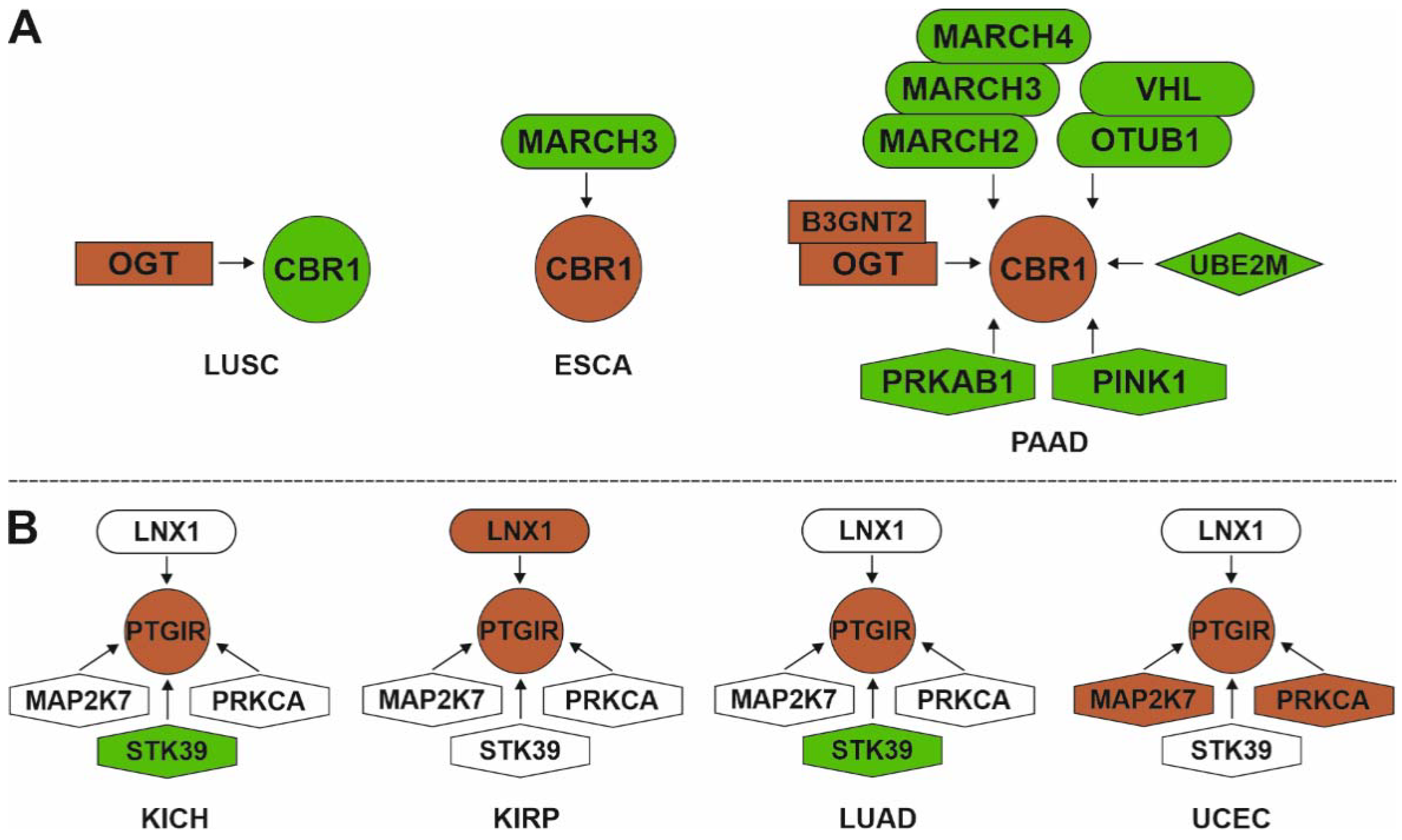 Biology 11 00590 g006 Biology 11 00590 g006