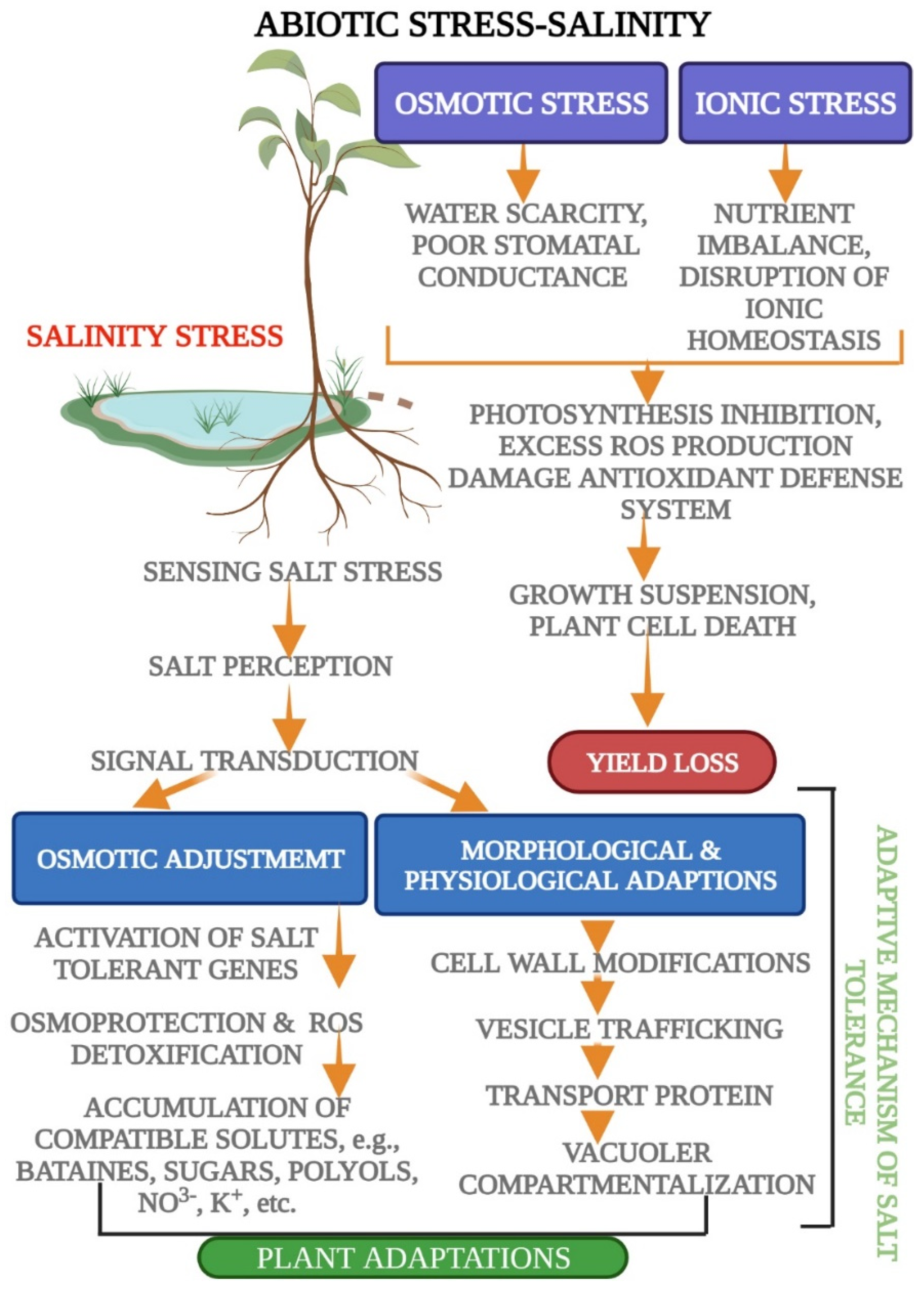 Biology 11 00597 g003 Biology 11 00597 g003
