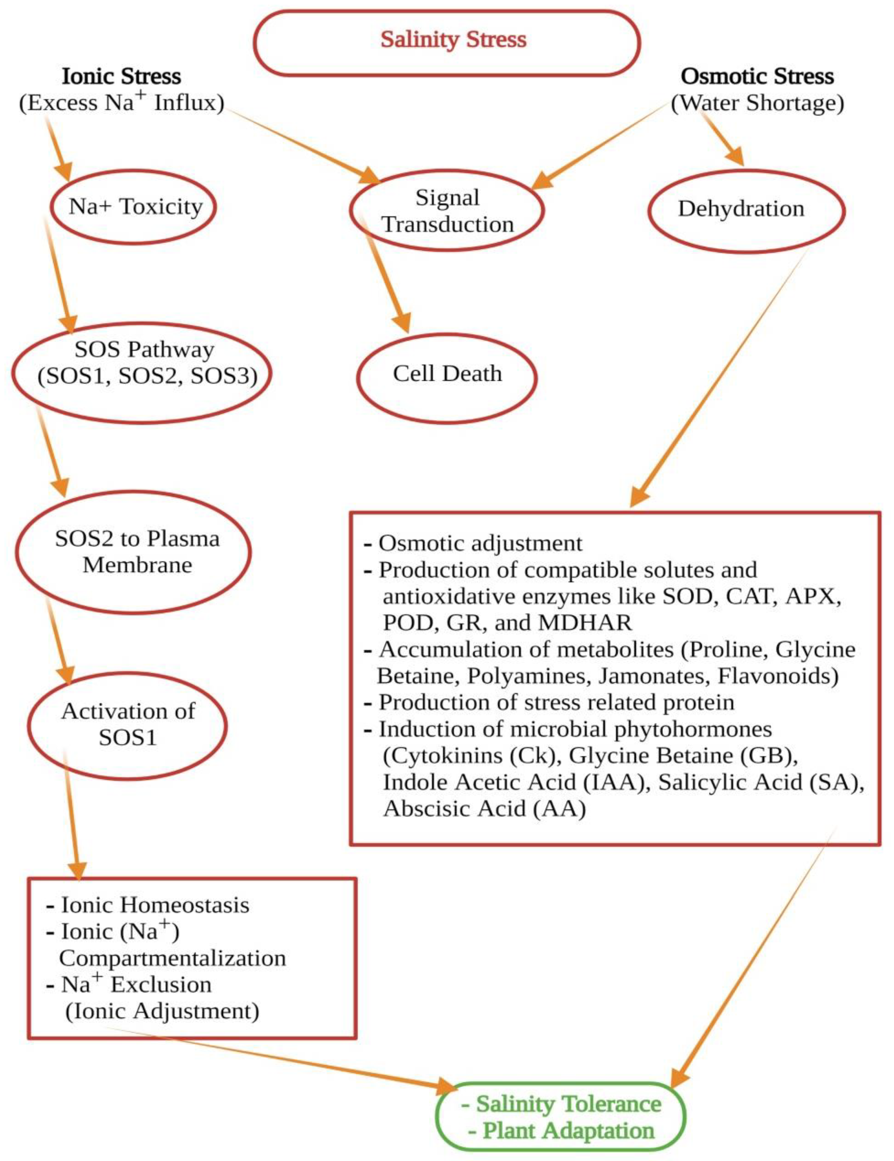 Biology 11 00597 g005 Biology 11 00597 g005