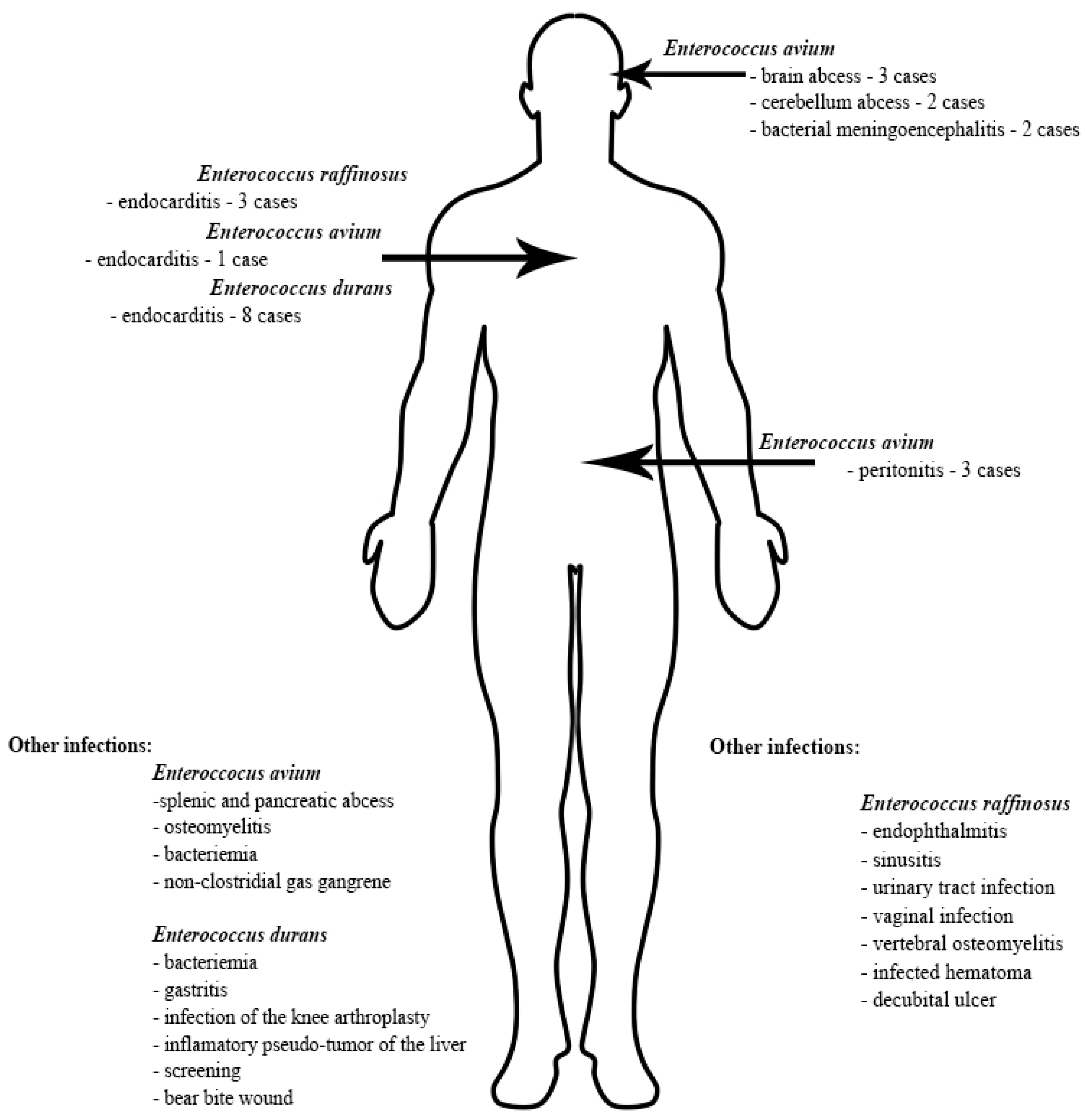 Biology 11 00598 g003 Biology 11 00598 g003